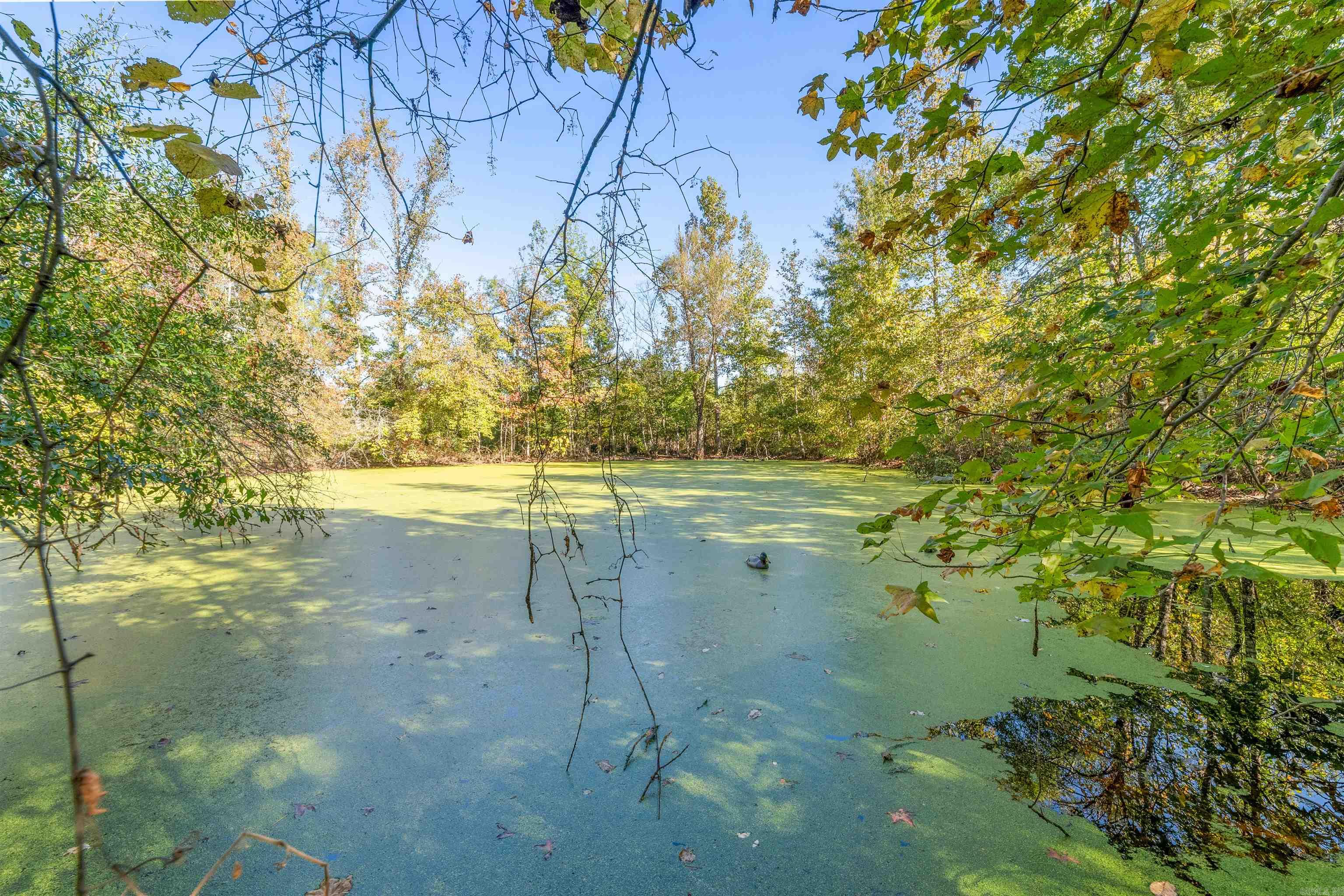 6673 Hwy 319 W  Austin, AR