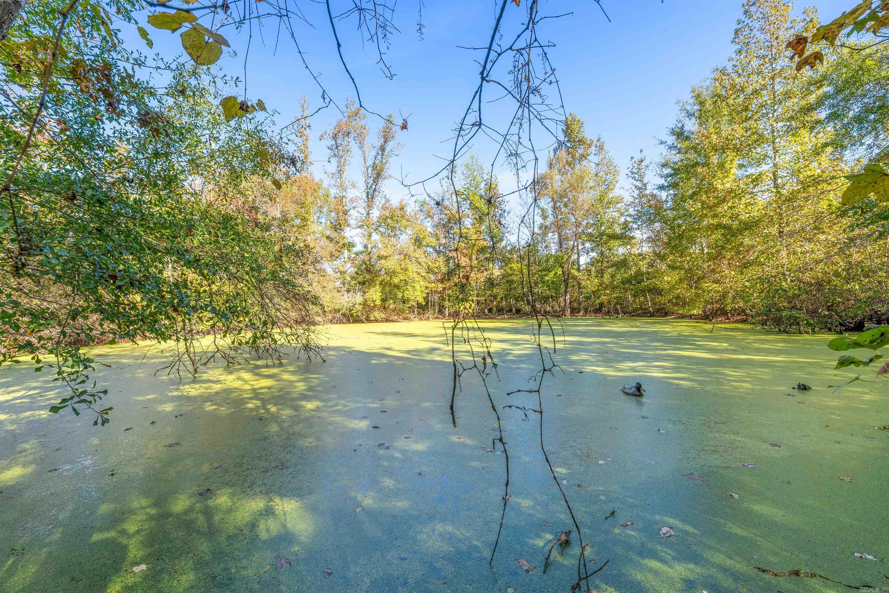 6673 Hwy 319 W  Austin, AR