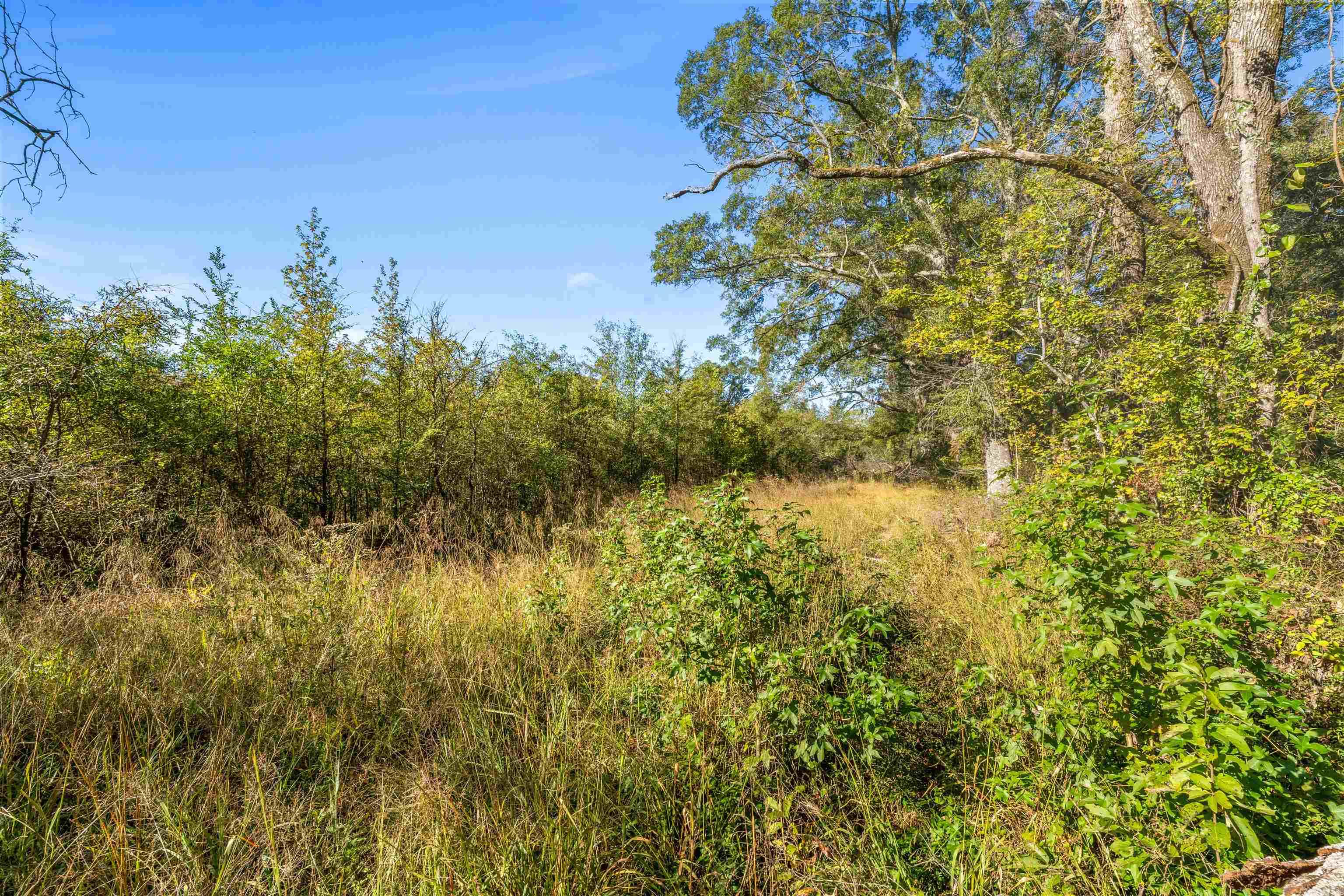 6673 Hwy 319 W  Austin, AR