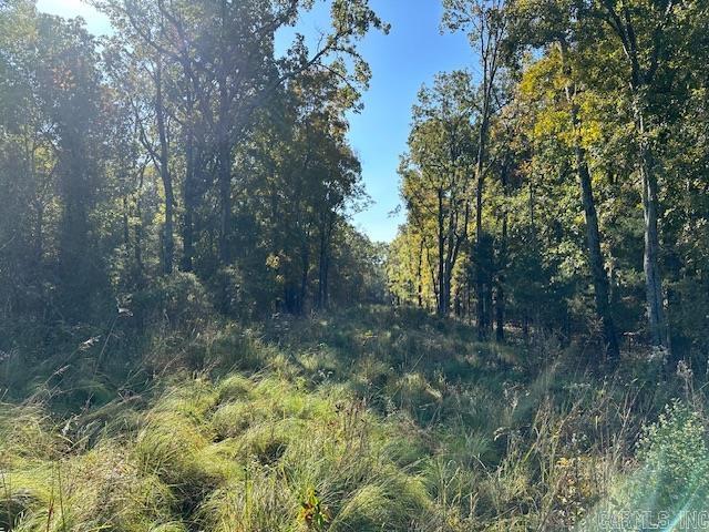 1528 Highway 167 N  Bradford, AR