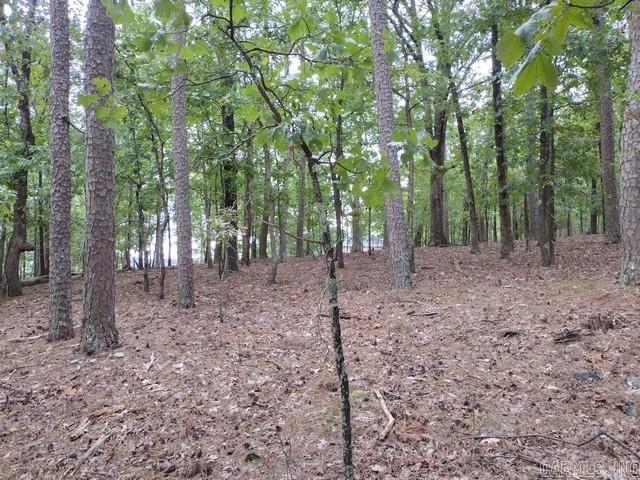 85 Mesero  Hot Springs Village, AR