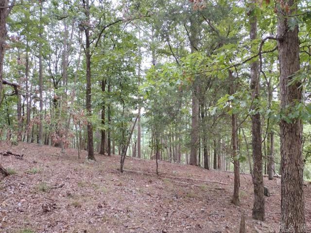 85 Mesero  Hot Springs Village, AR