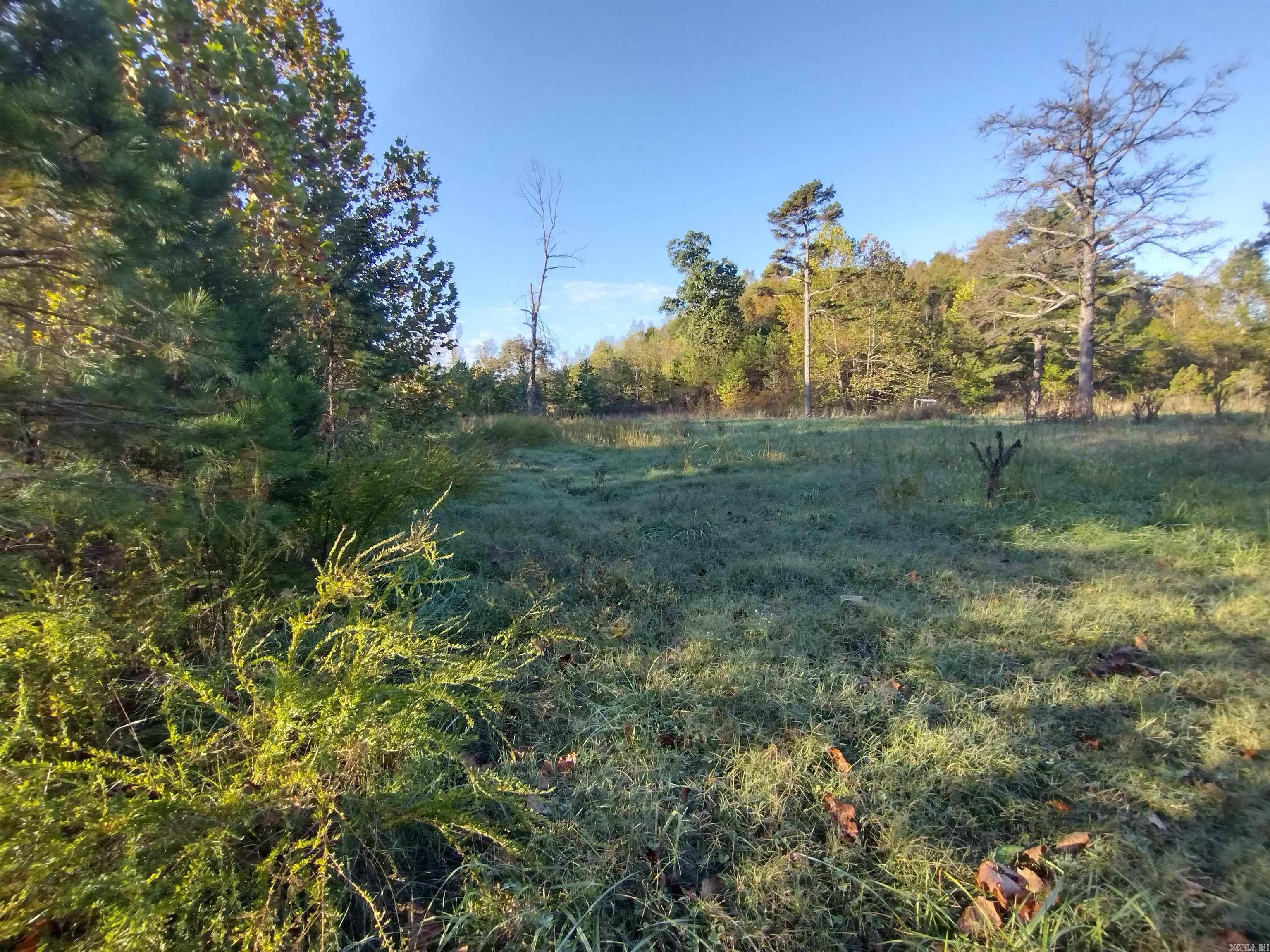 1000 Arvid Maeland Blvd  Mountain View, AR