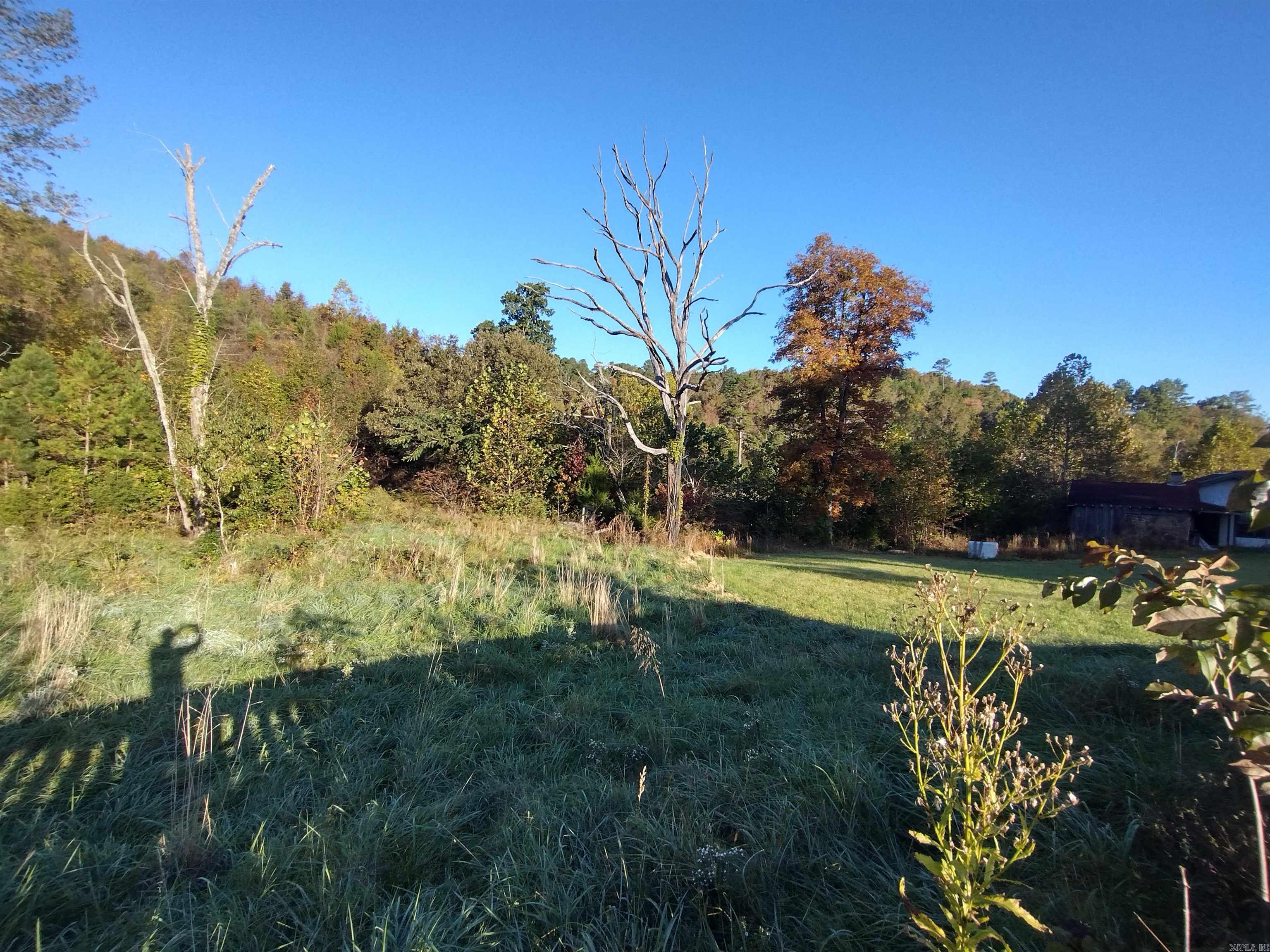 1000 Arvid Maeland Blvd  Mountain View, AR