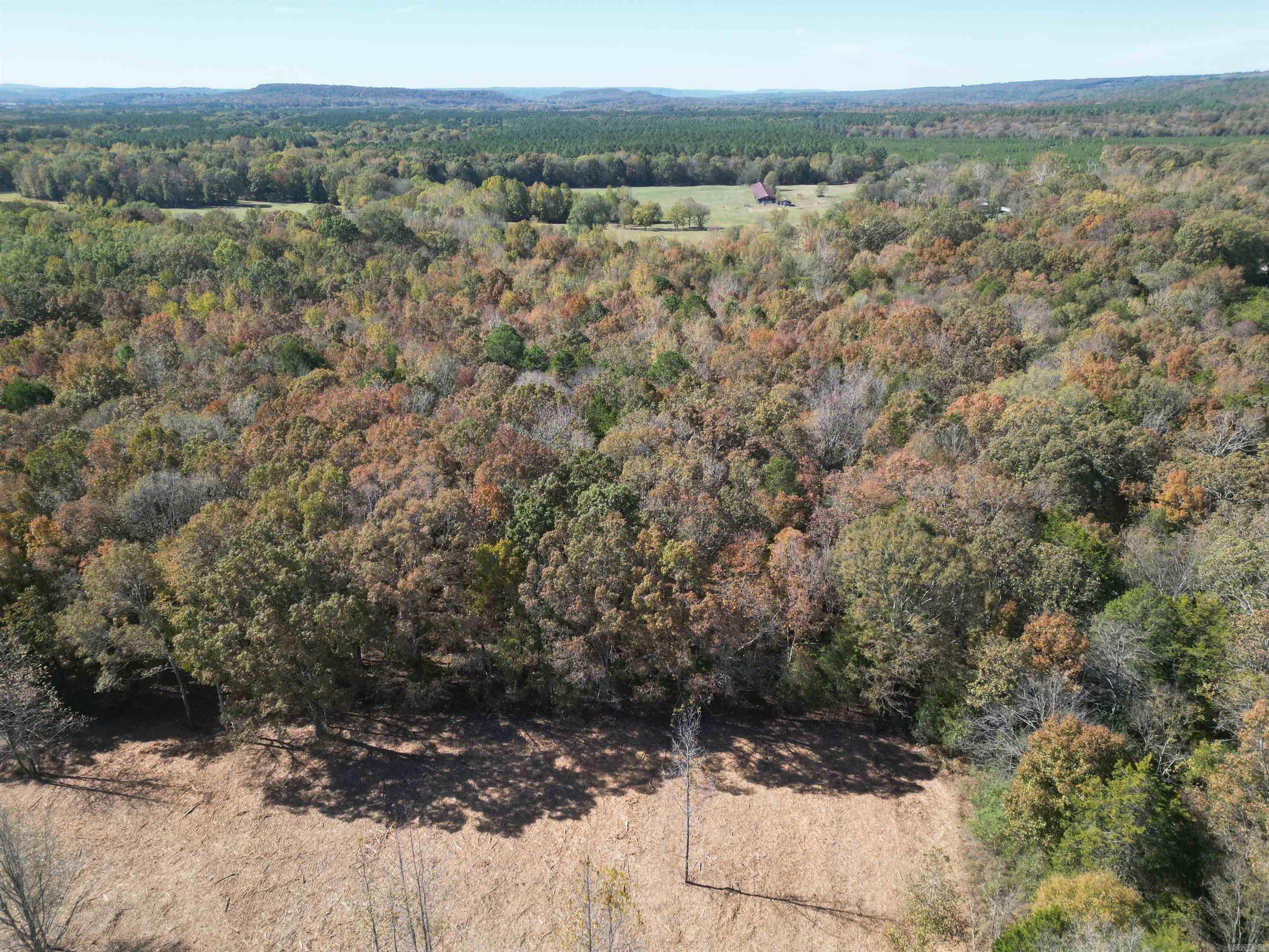 000 Little Red Mountain  Pangburn, AR