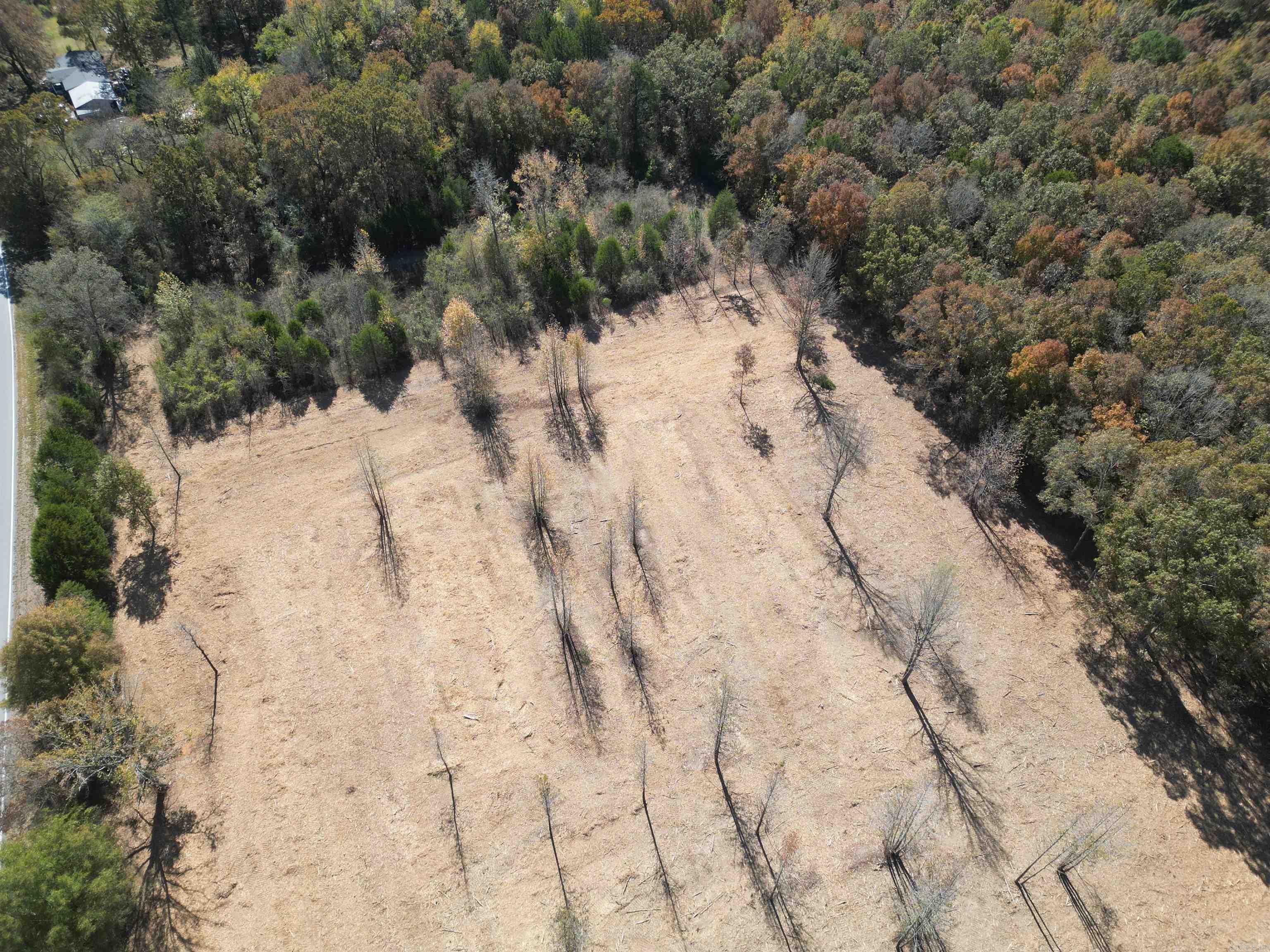 000 Little Red Mountain  Pangburn, AR