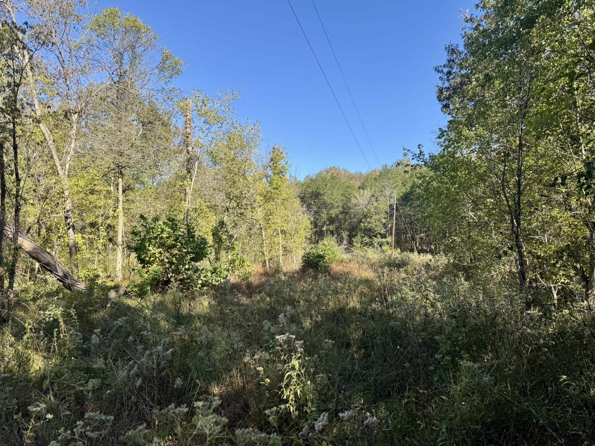 4.5A Honeysuckle Lane  Franklin, AR