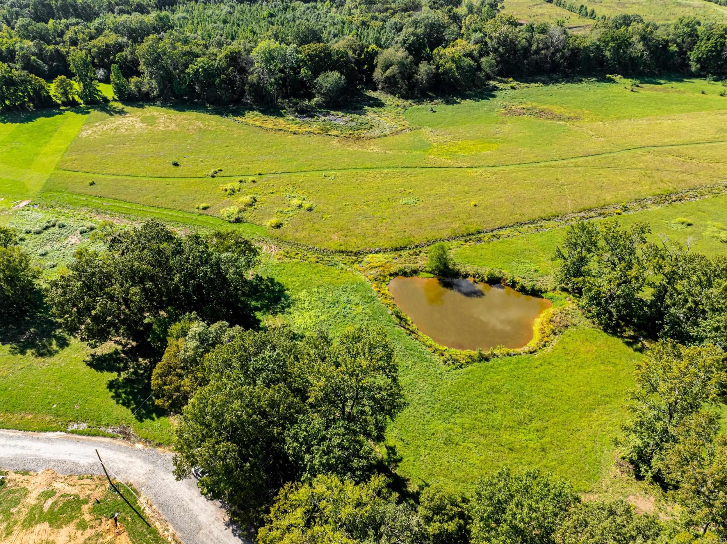 111 Justice Farm  Conway, AR