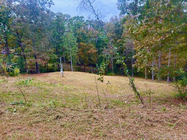 814 Herpel  Mountain View, AR