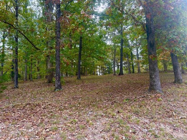 814 Herpel  Mountain View, AR