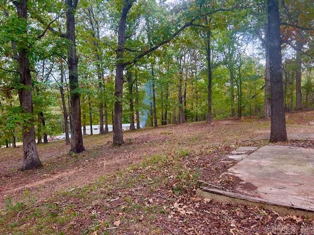 814 Herpel  Mountain View, AR