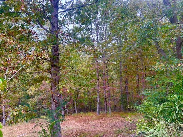 814 Herpel  Mountain View, AR