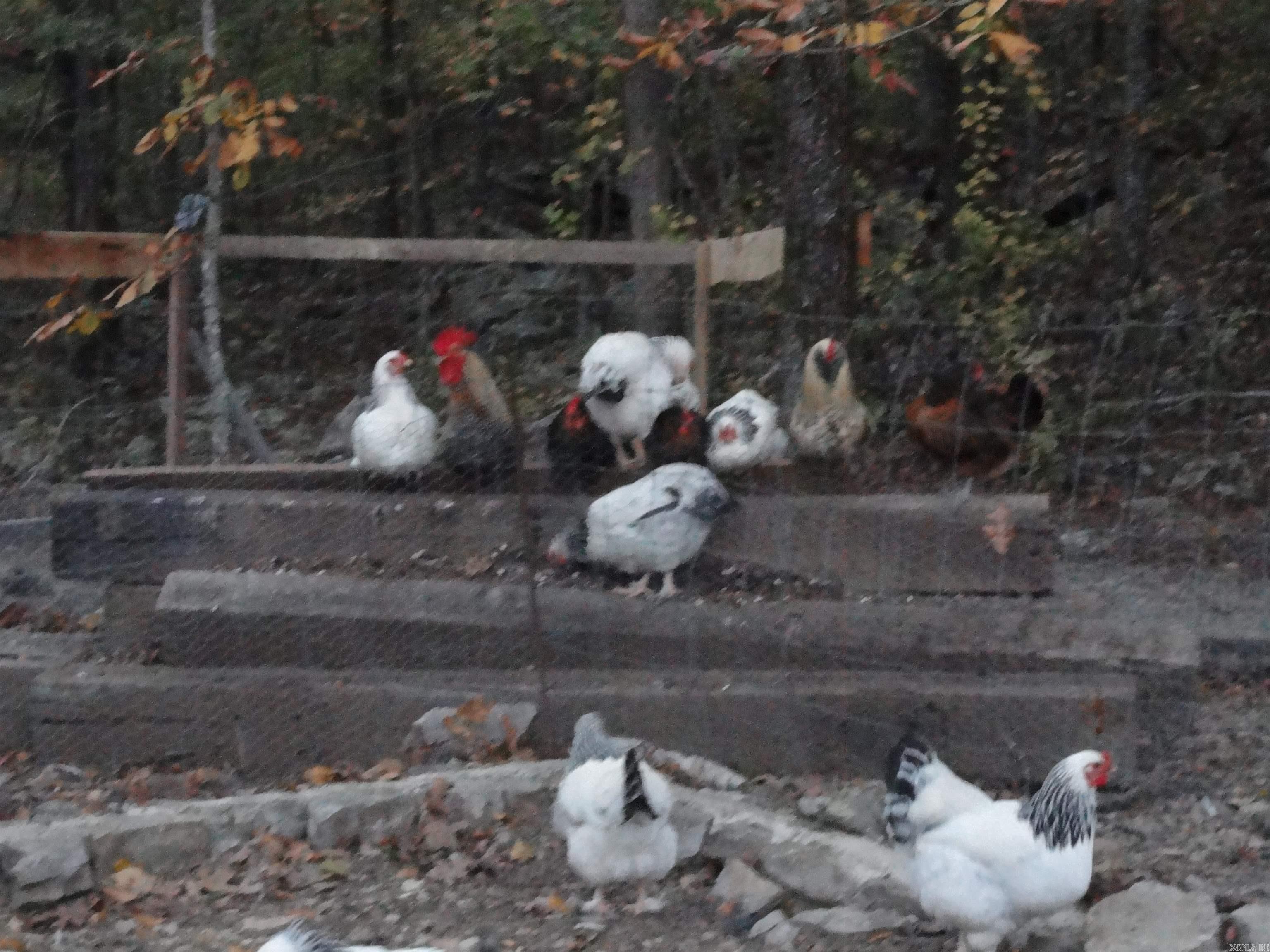 2340 Shady Grove Road Leslie, AR 72645