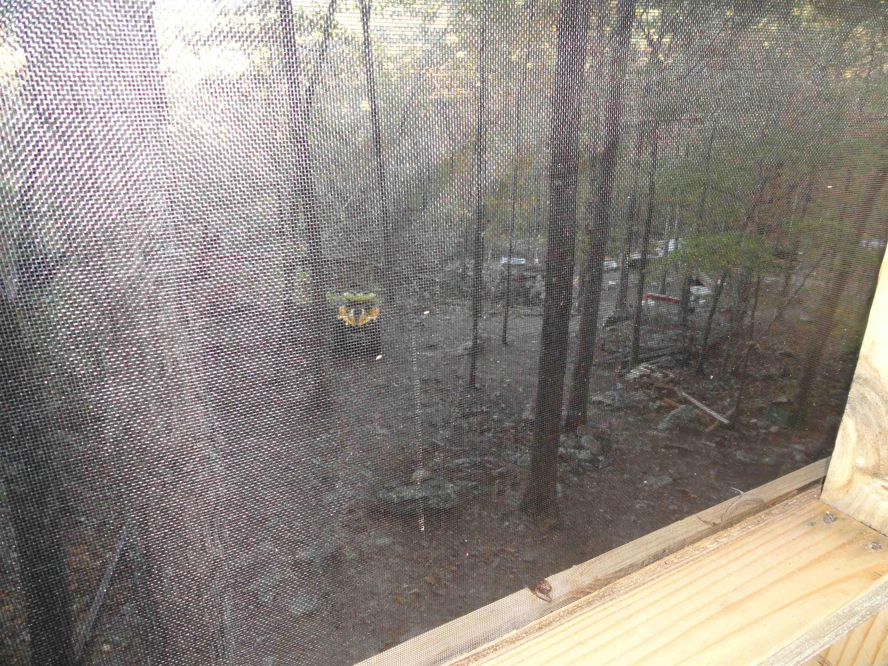 2340 Shady Grove Road Leslie, AR 72645