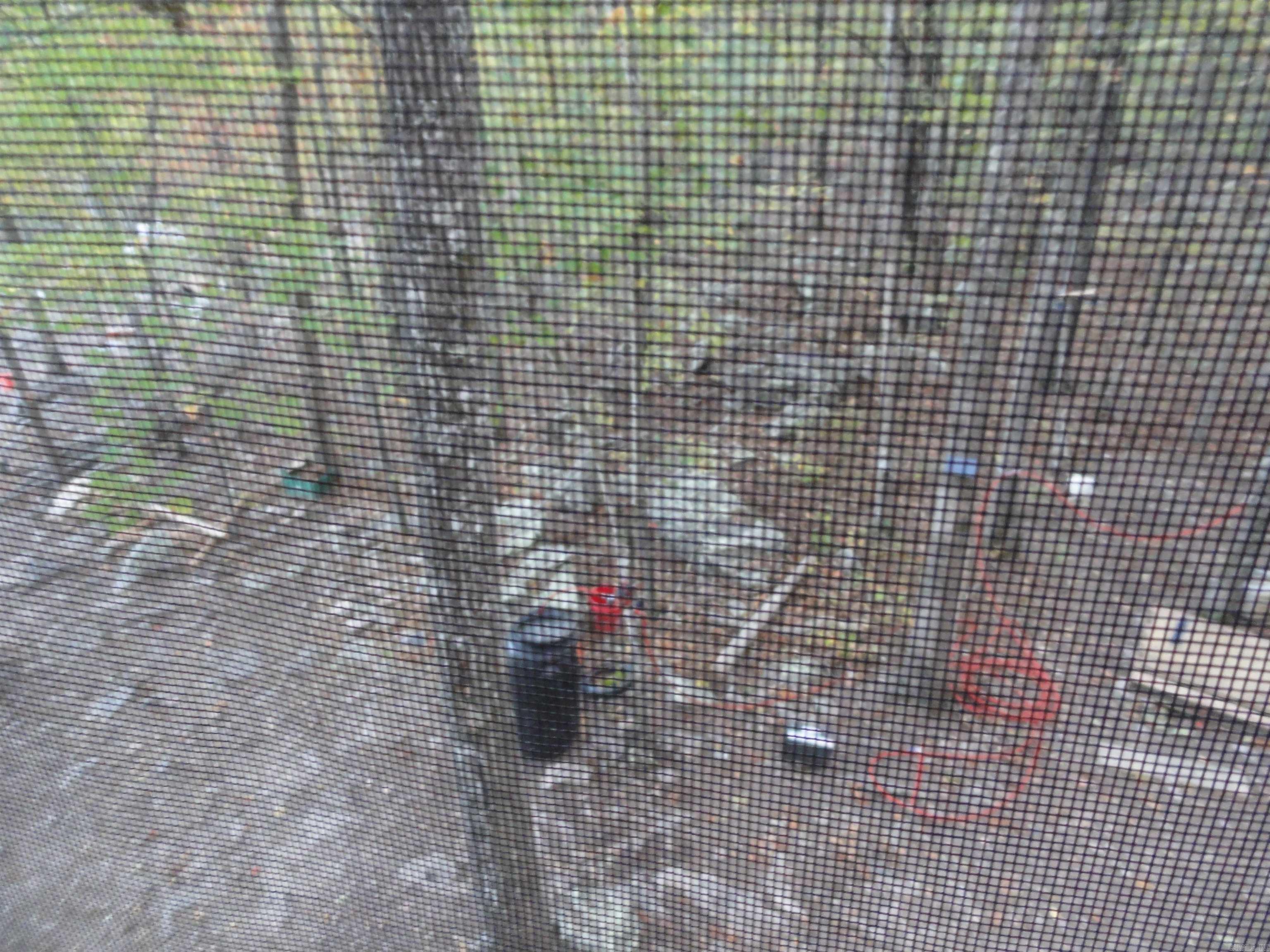 2340 Shady Grove Road Leslie, AR 72645