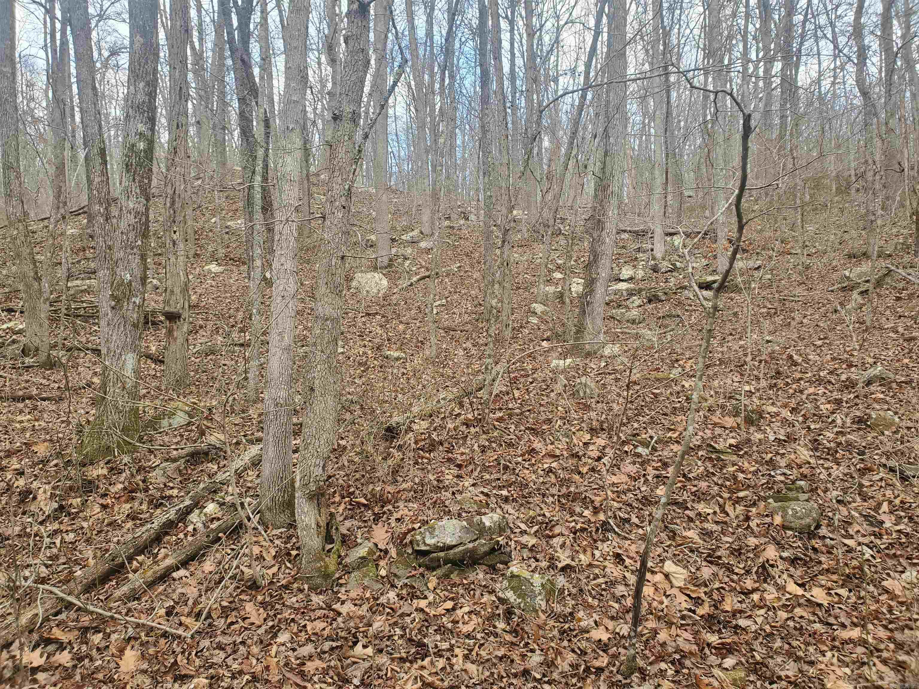 2340 Shady Grove Road Leslie, AR 72645