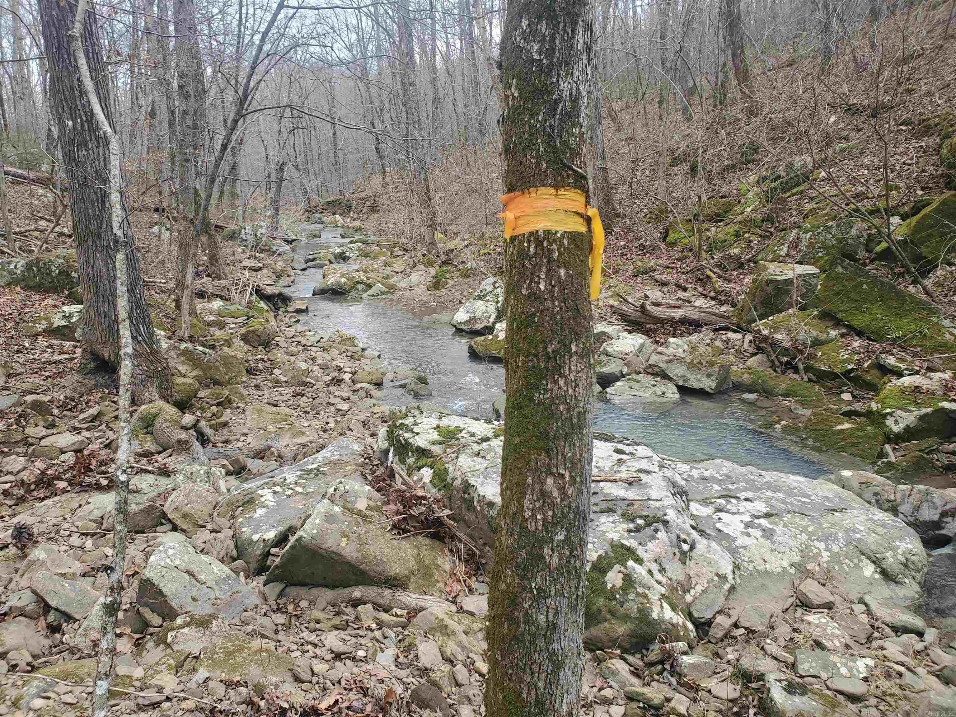 2340 Shady Grove Road Leslie, AR 72645