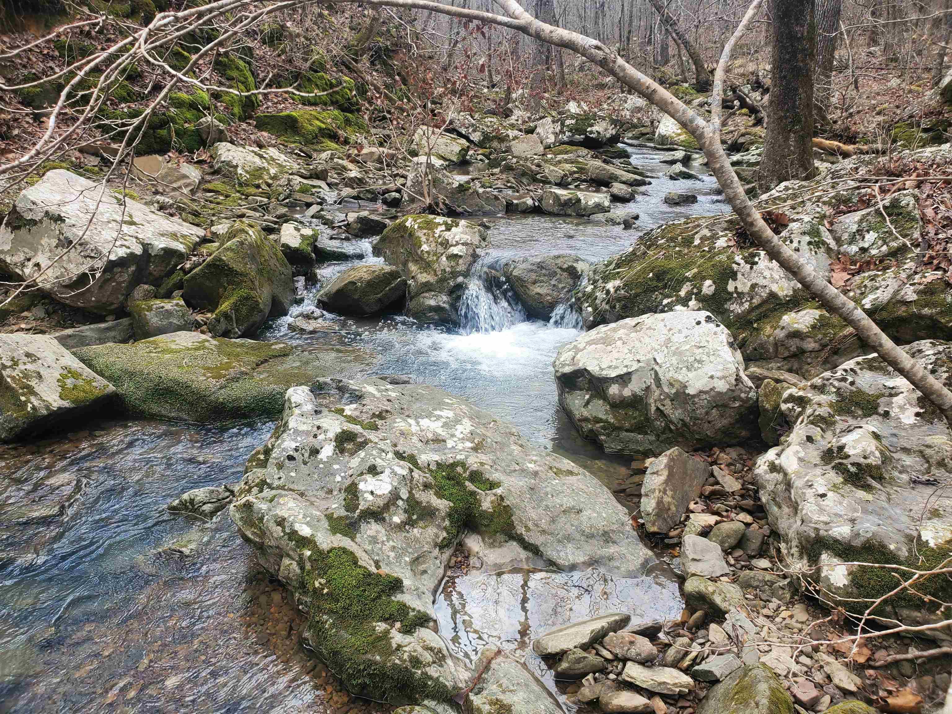 2340 Shady Grove Road Leslie, AR 72645