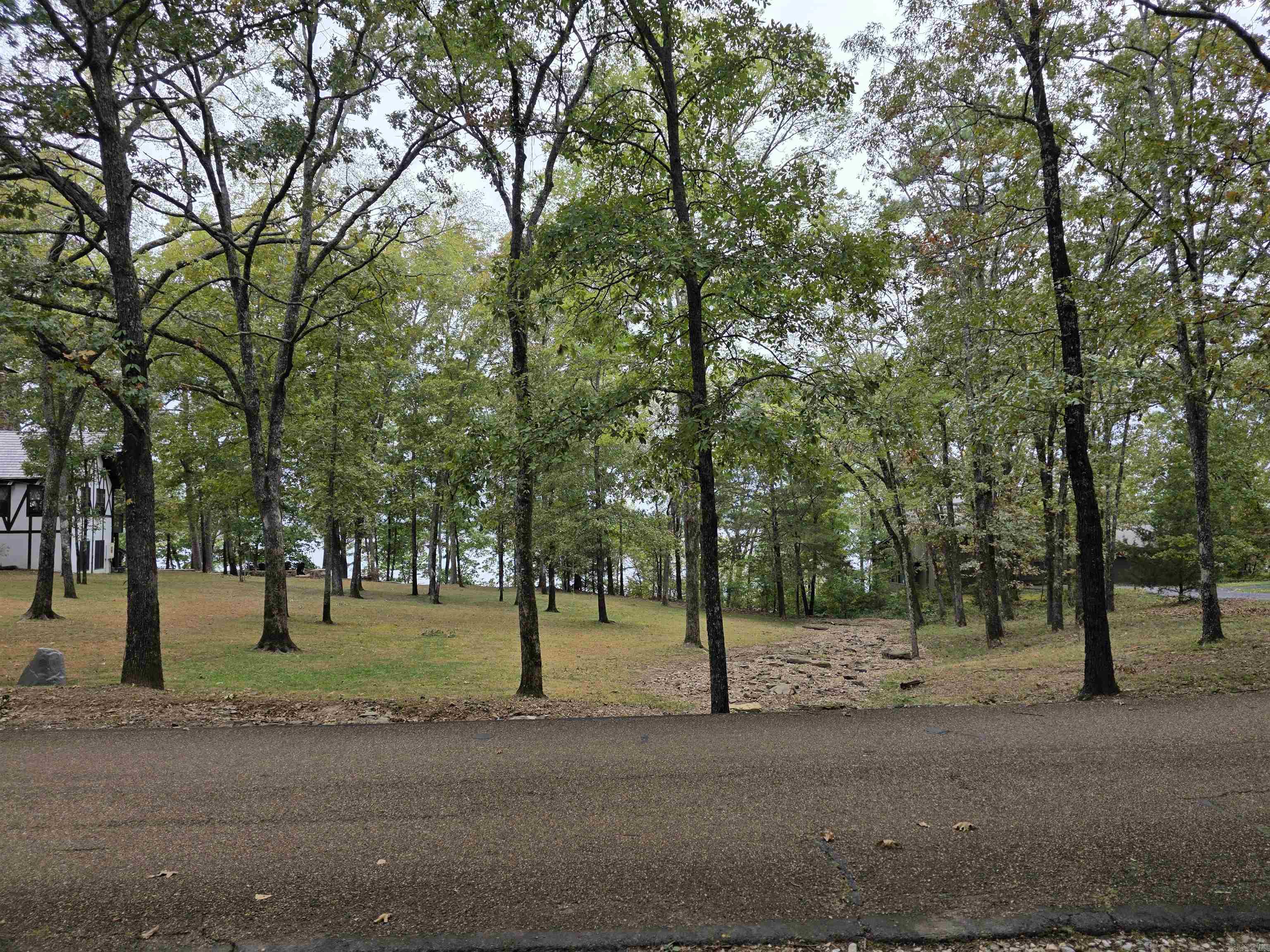  Lot 182 Tannenbaum Road  Drasco, AR