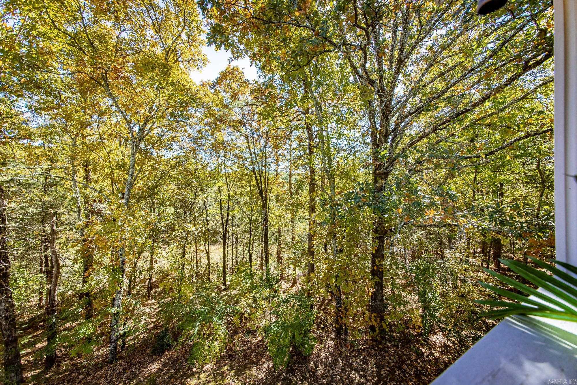 3032 & 3028 Summerhill Place Fairfield Bay, AR 72088