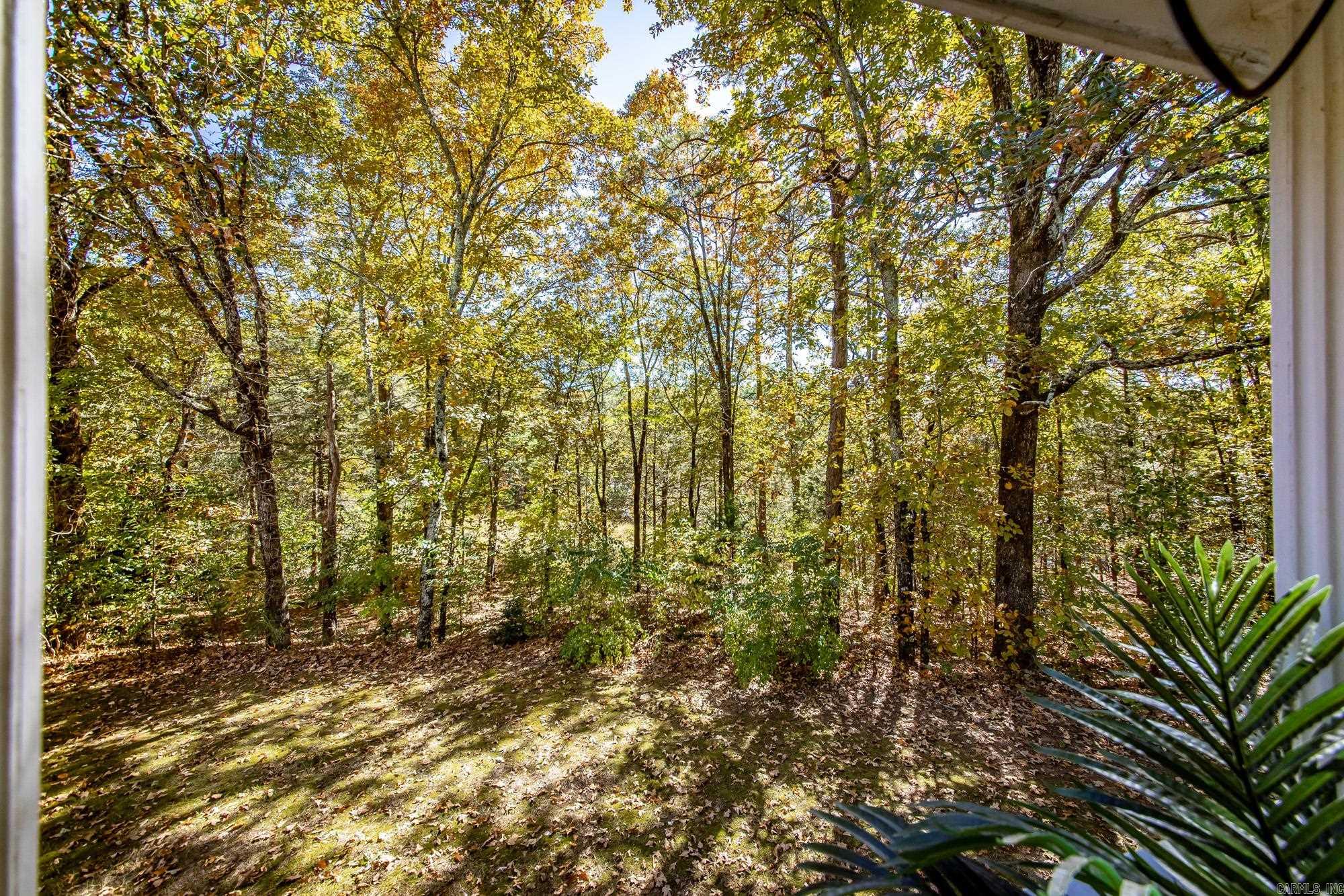 3032 & 3028 Summerhill Place Fairfield Bay, AR 72088