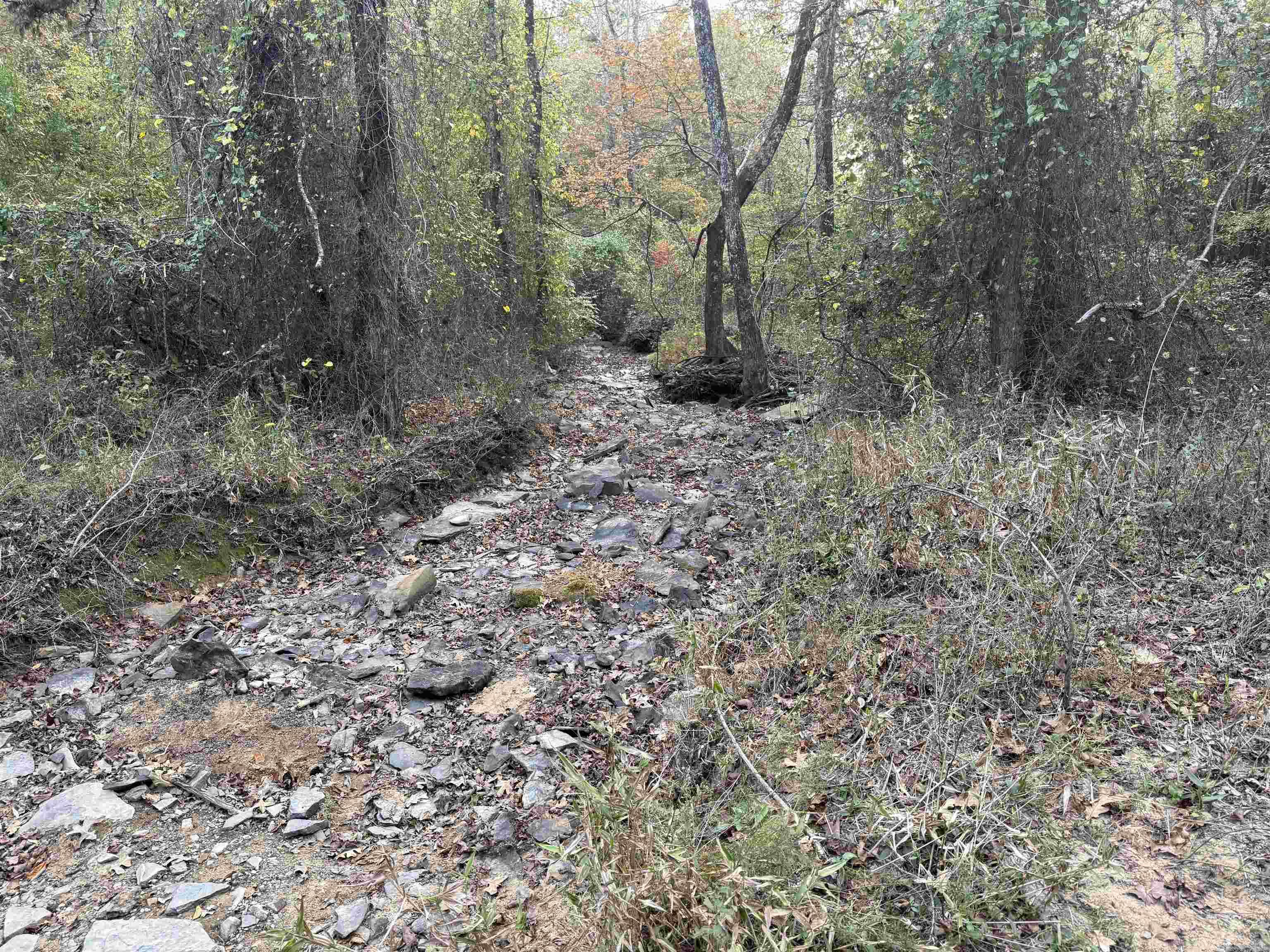 271 County Line  Rose Bud, AR