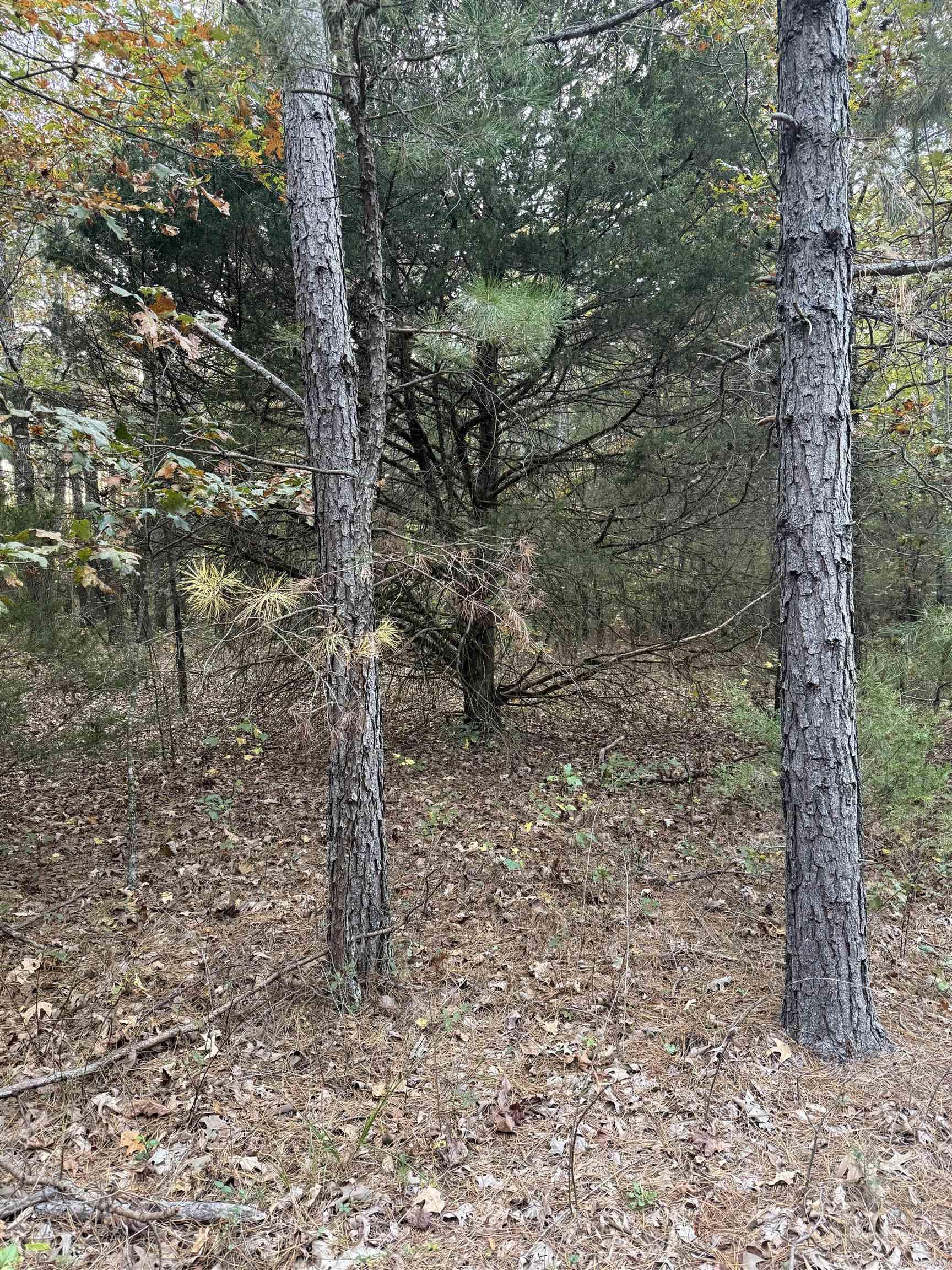 271 County Line  Rose Bud, AR