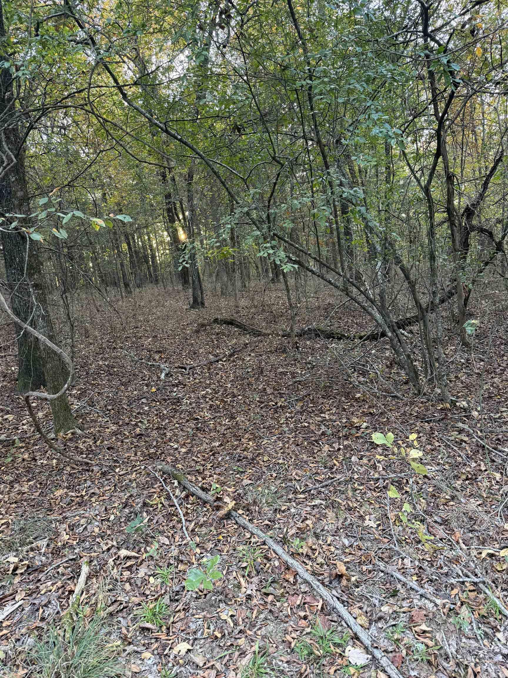 271 County Line  Rose Bud, AR