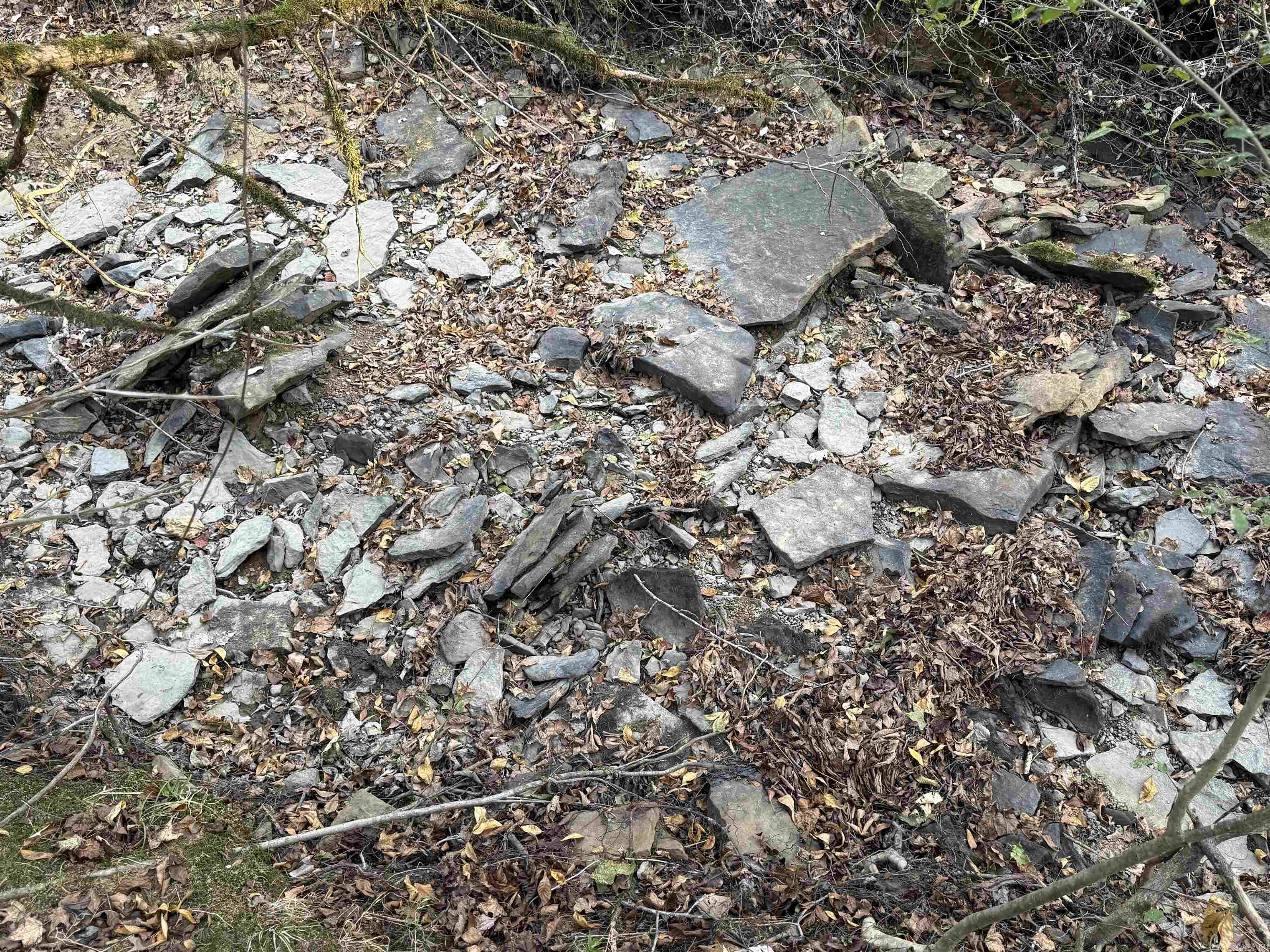 271 County Line  Rose Bud, AR