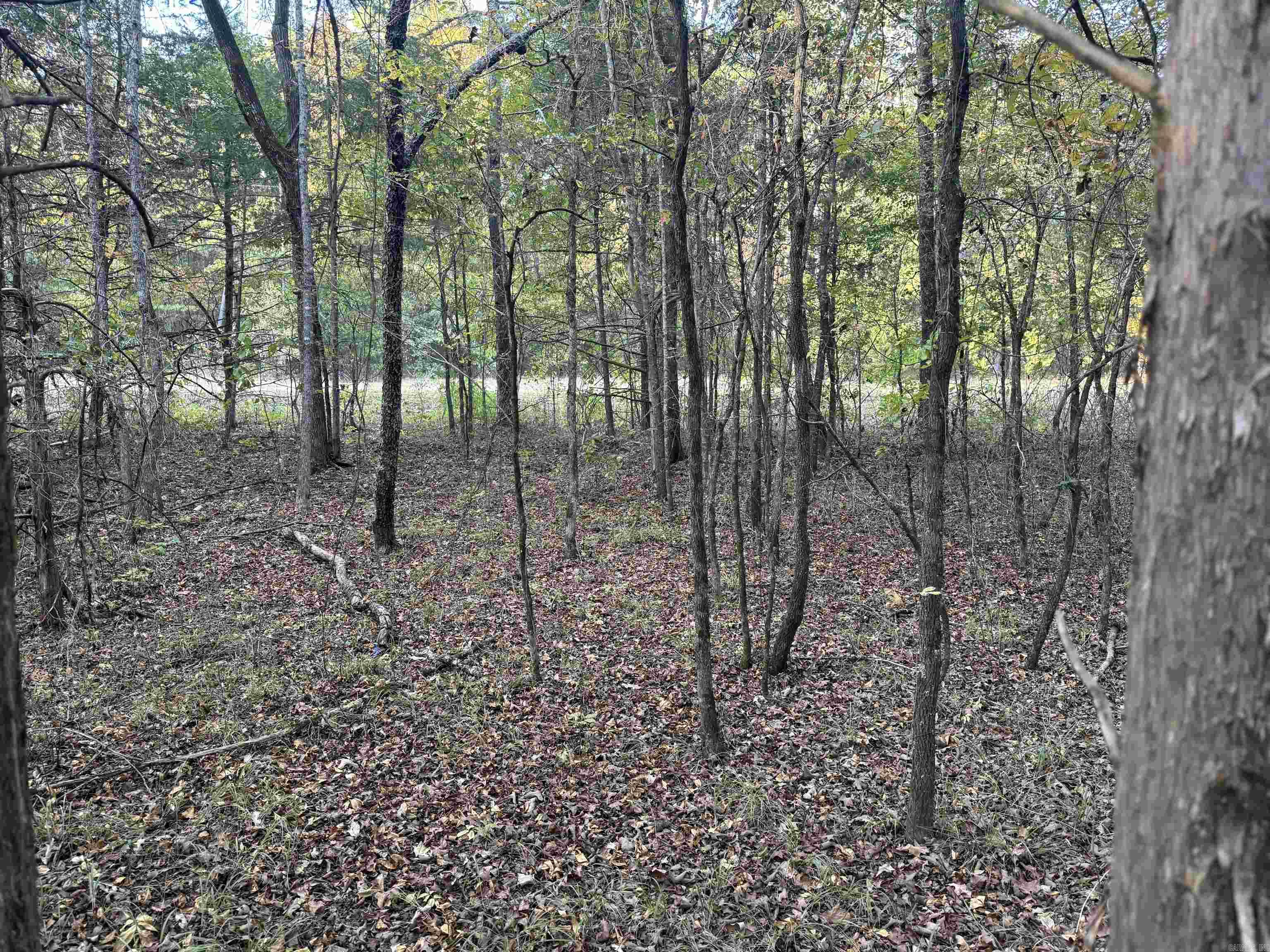 271 County Line  Rose Bud, AR