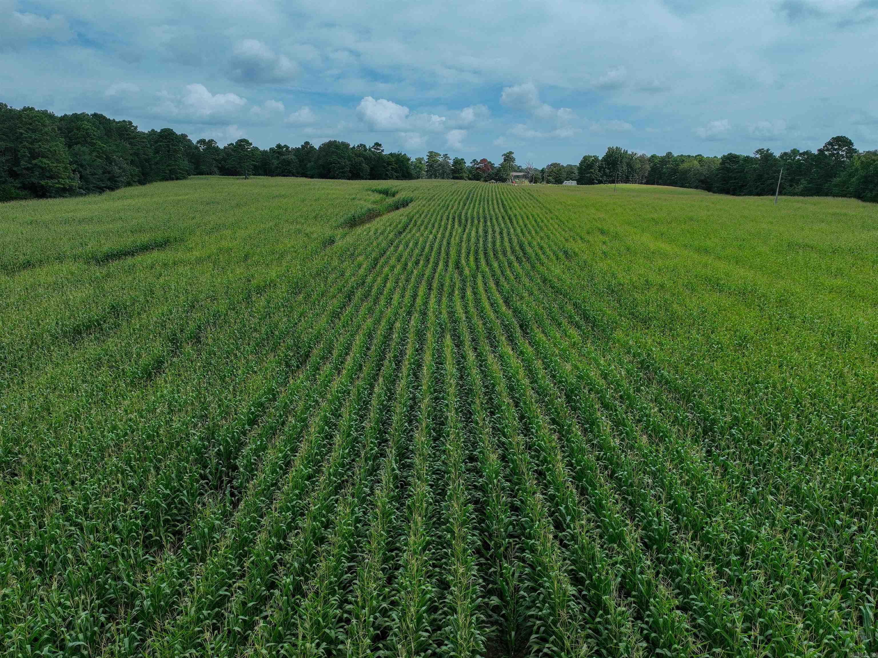 548 Cornerstone  Pleasant Plains, AR