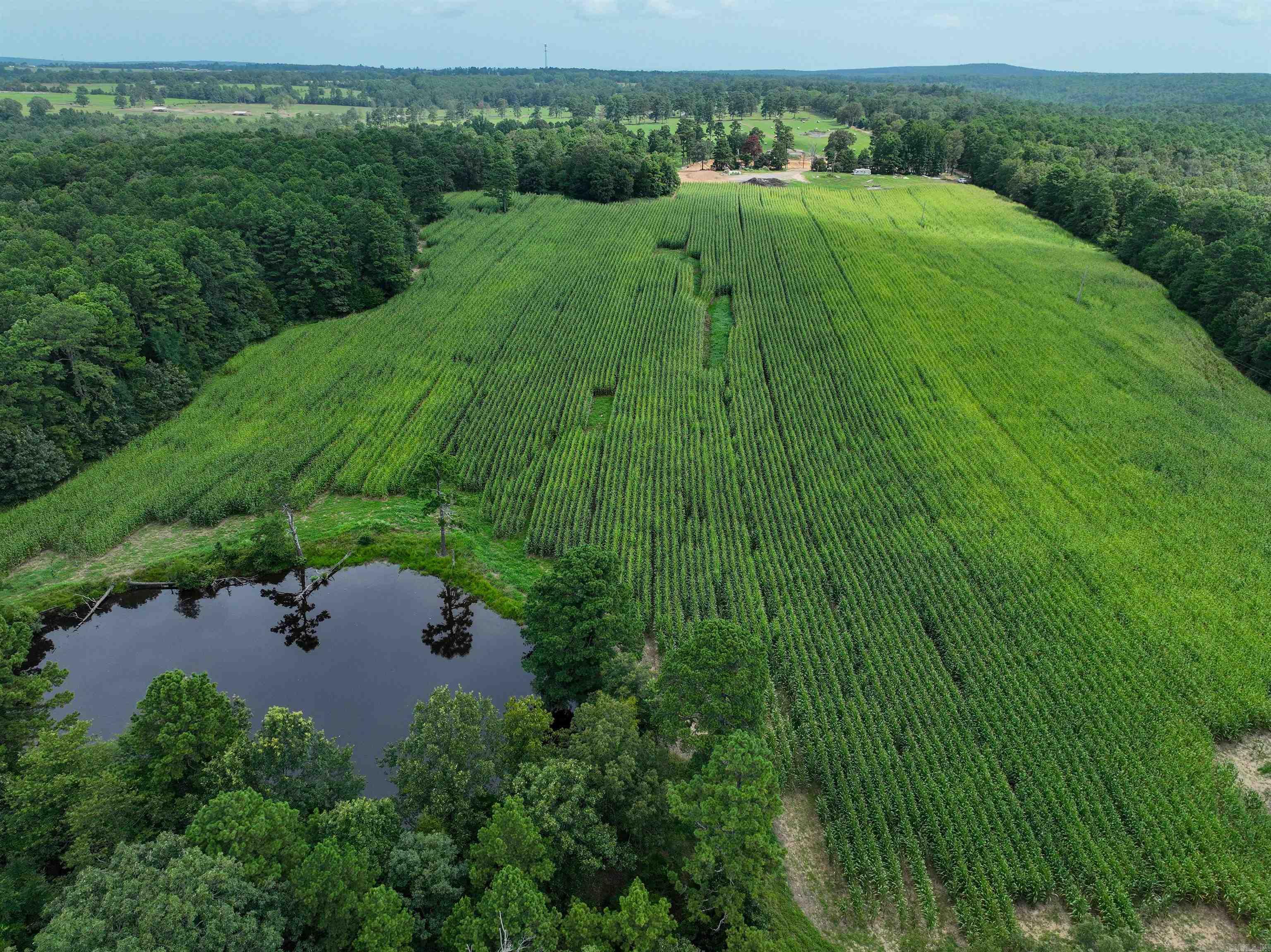 548 Cornerstone  Pleasant Plains, AR