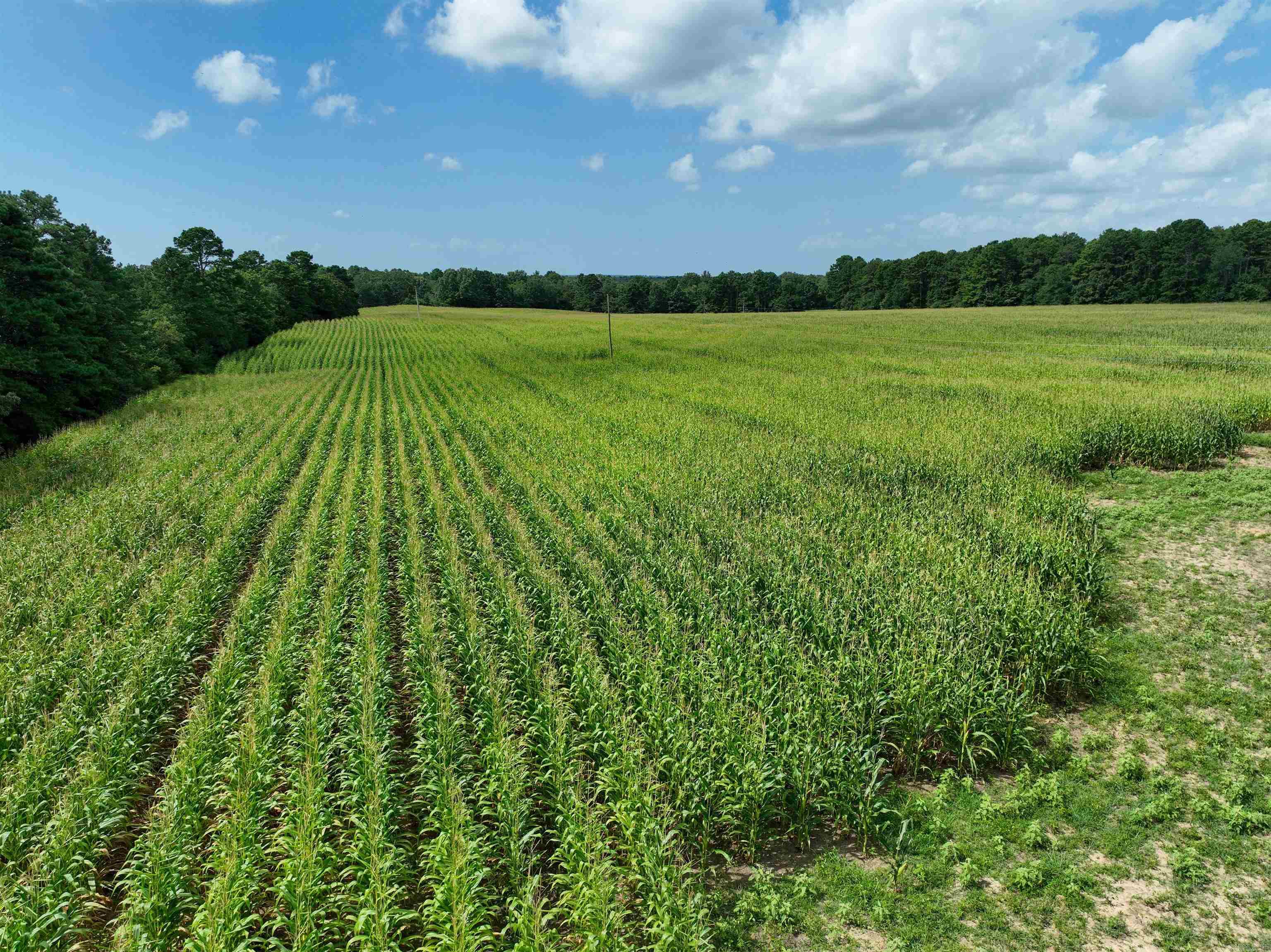 548 Cornerstone  Pleasant Plains, AR