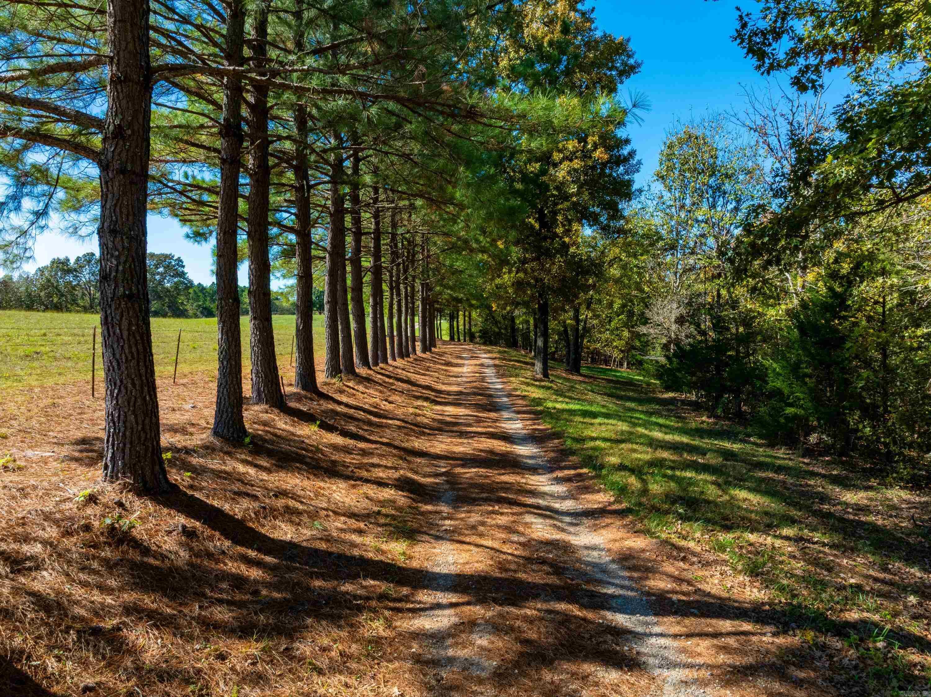 1742 Flora Church Trl  Viola, AR