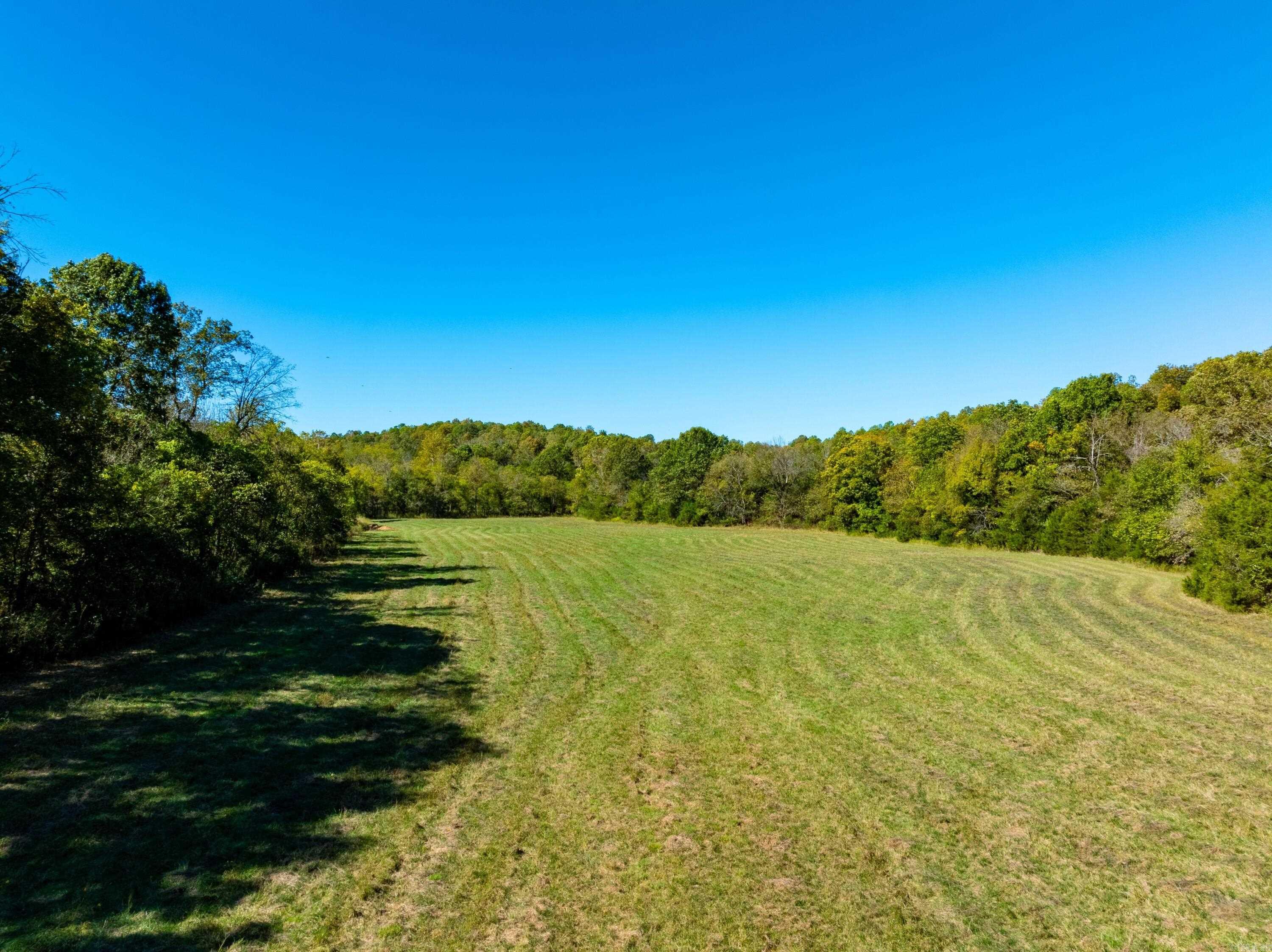 1742 Flora Church Trl  Viola, AR