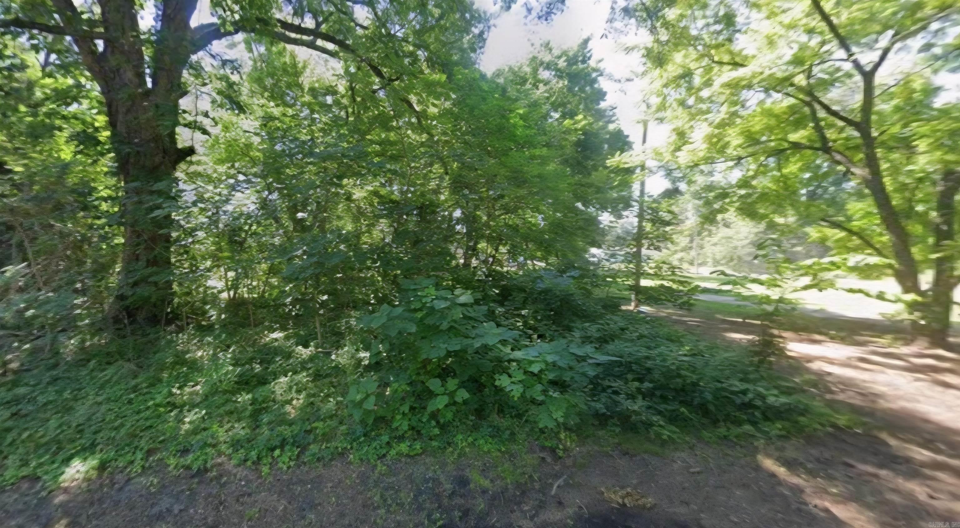 Lot 9-10 W 1st  Rondo, AR