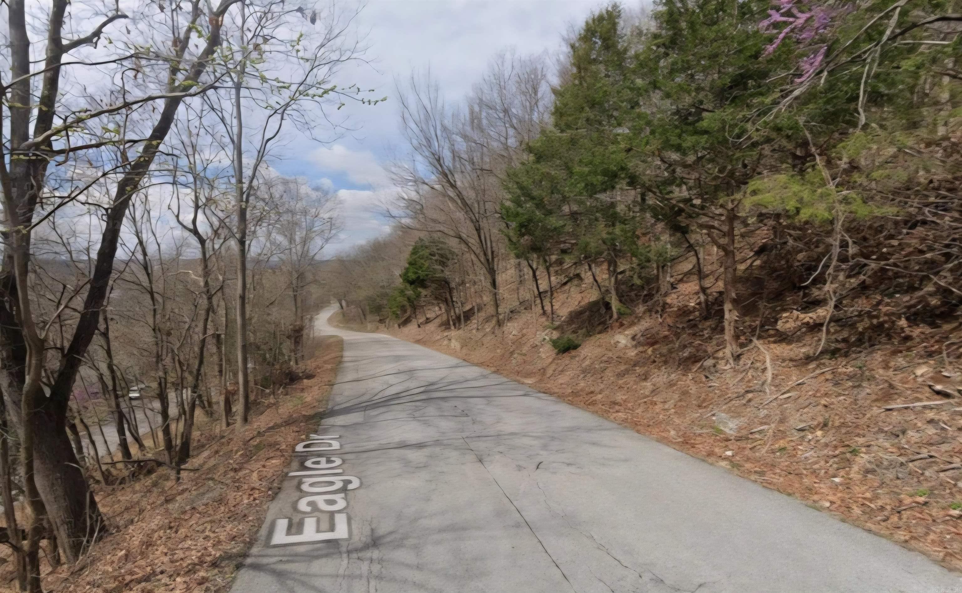 296 Holiday Island  Holiday Island, AR