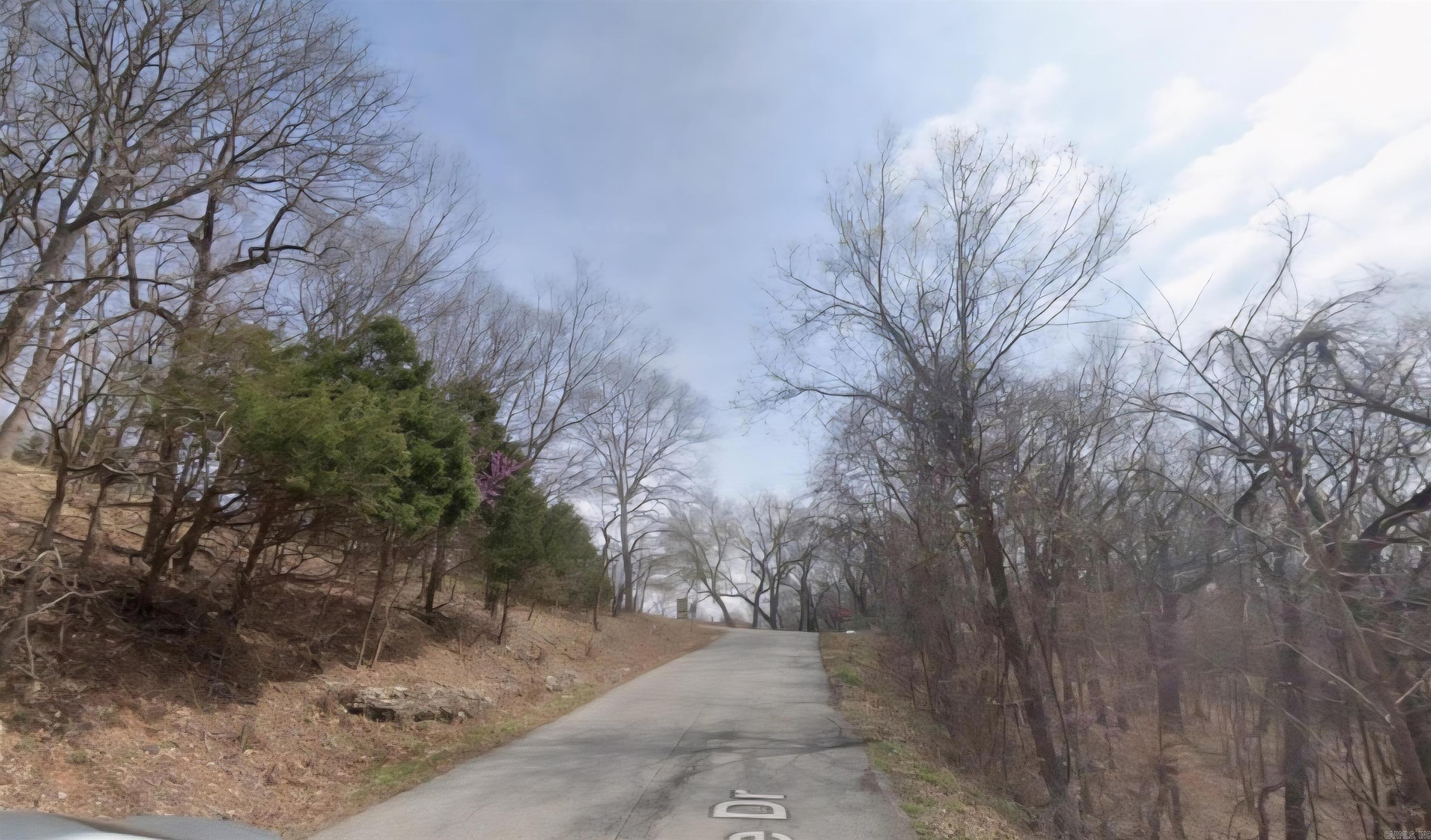 296 Holiday Island  Holiday Island, AR