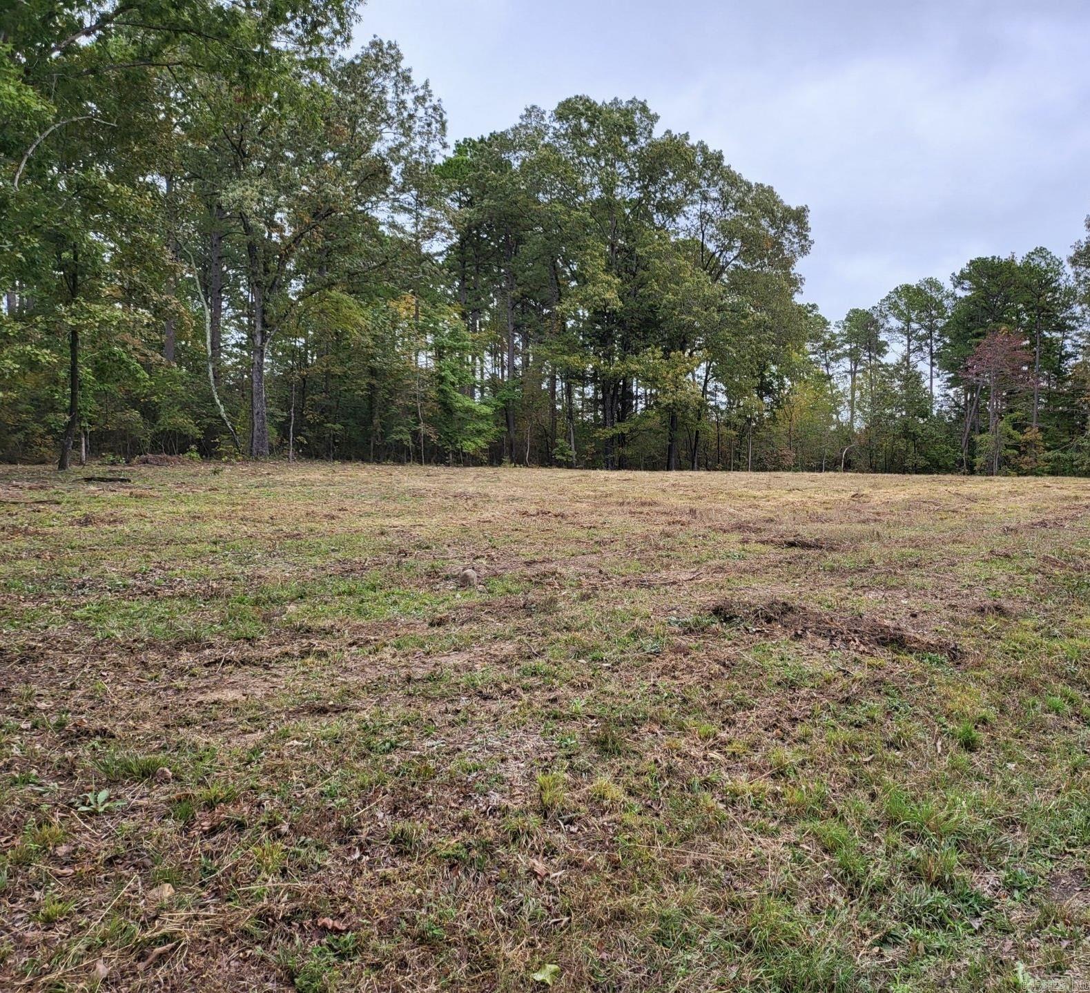 Lot 53 Burning Tree Rd.  Greers Ferry, AR