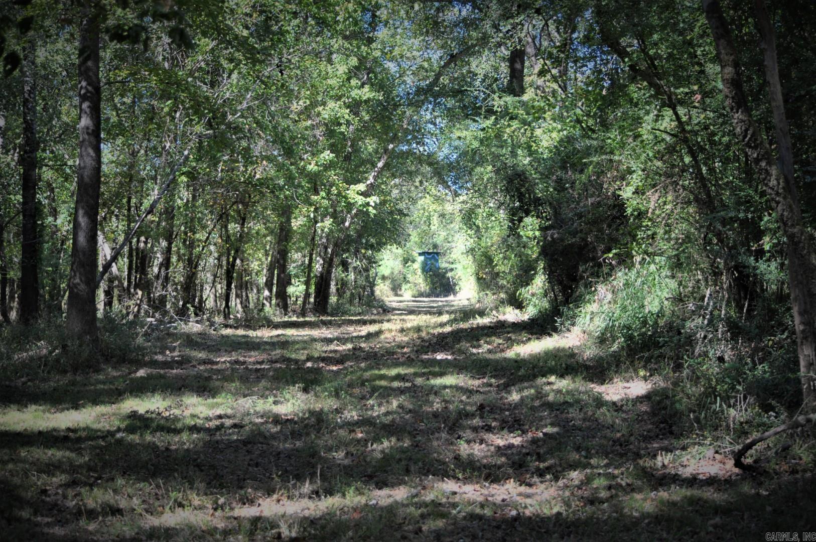 000 Dallas 273  Sparkman, AR