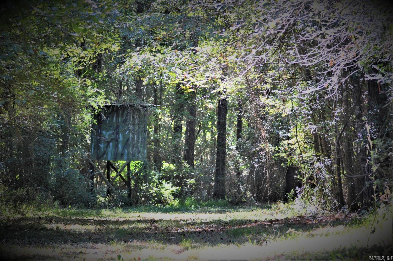 000 Dallas 273  Sparkman, AR