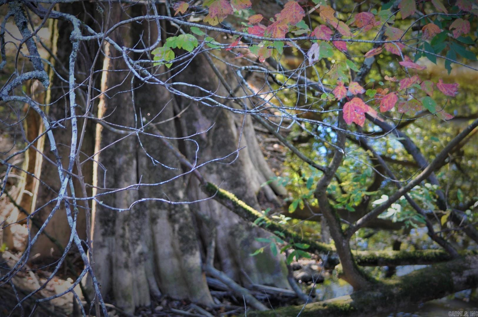 000 Dallas 273  Sparkman, AR