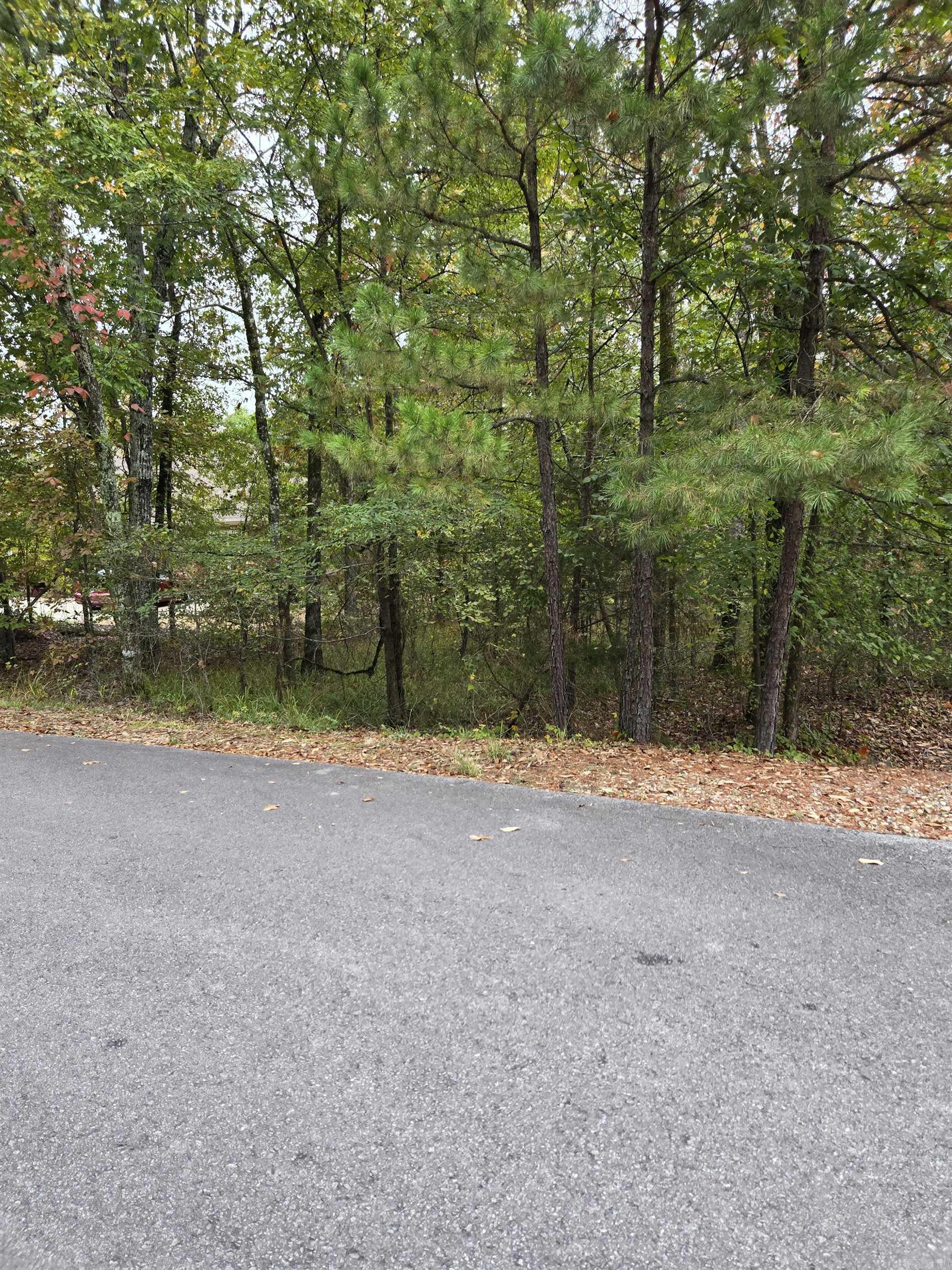 XX Pinocha  Hot Springs Village, AR