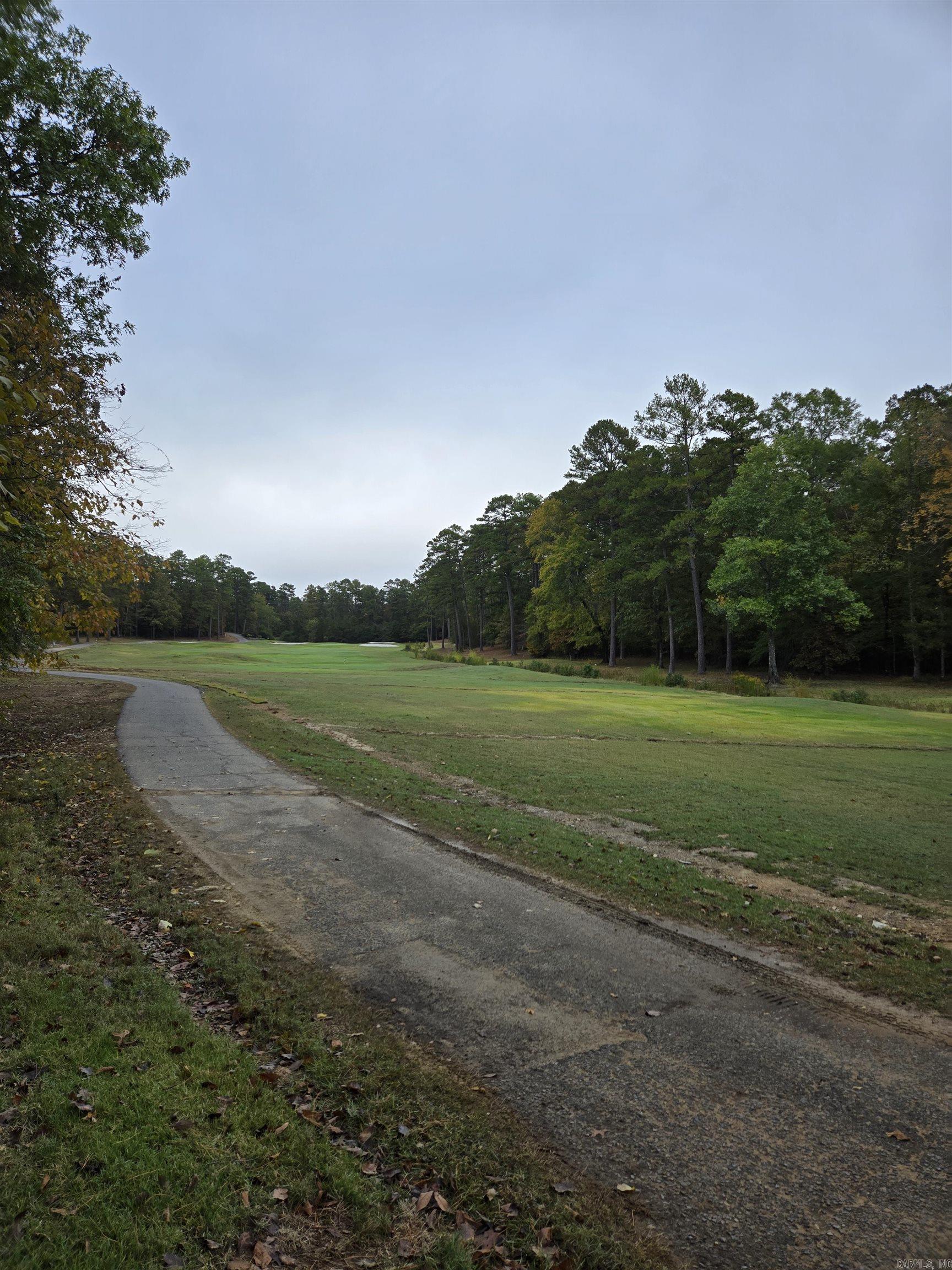 XX Pinocha  Hot Springs Village, AR