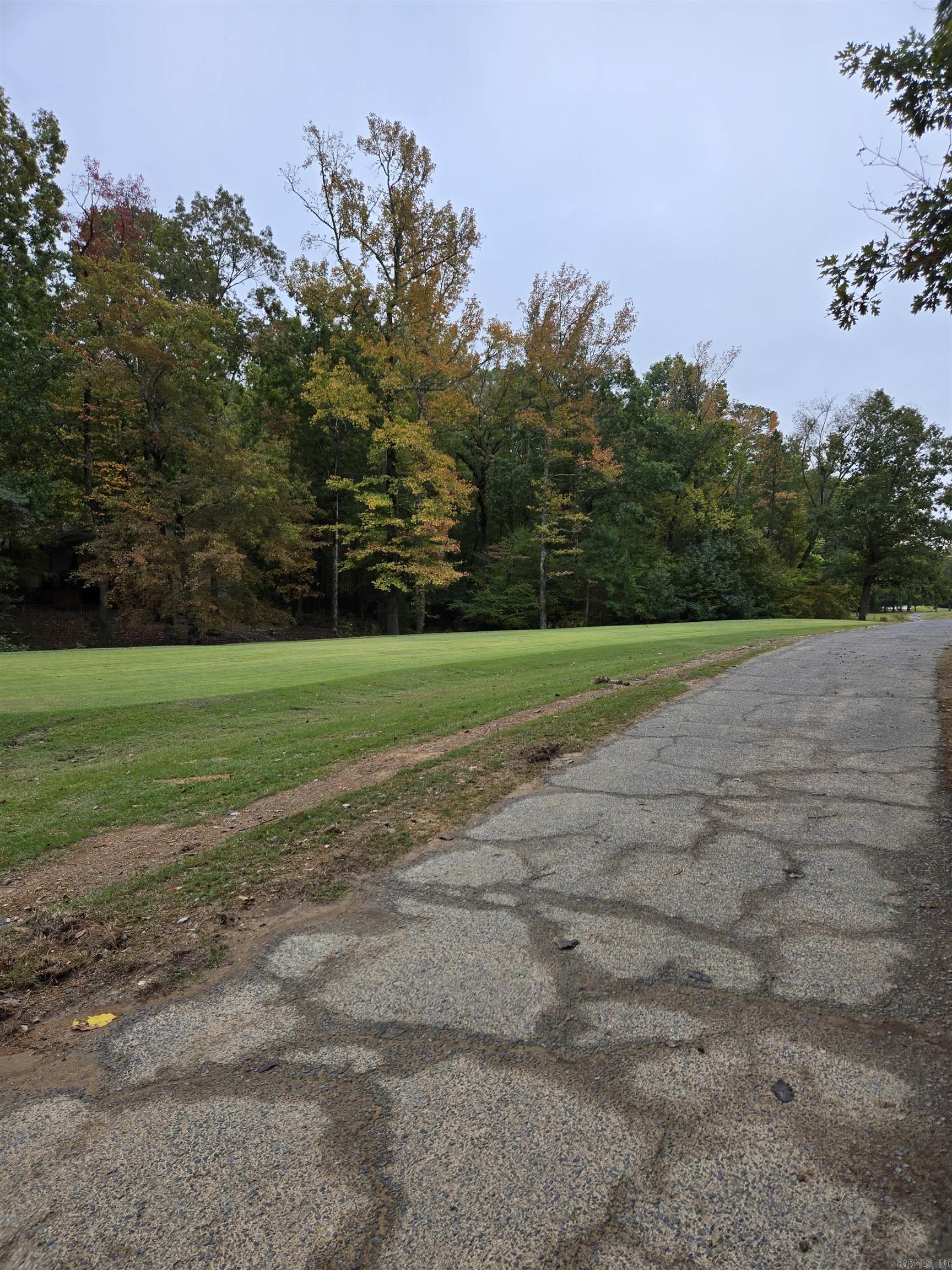 XX Pinocha  Hot Springs Village, AR