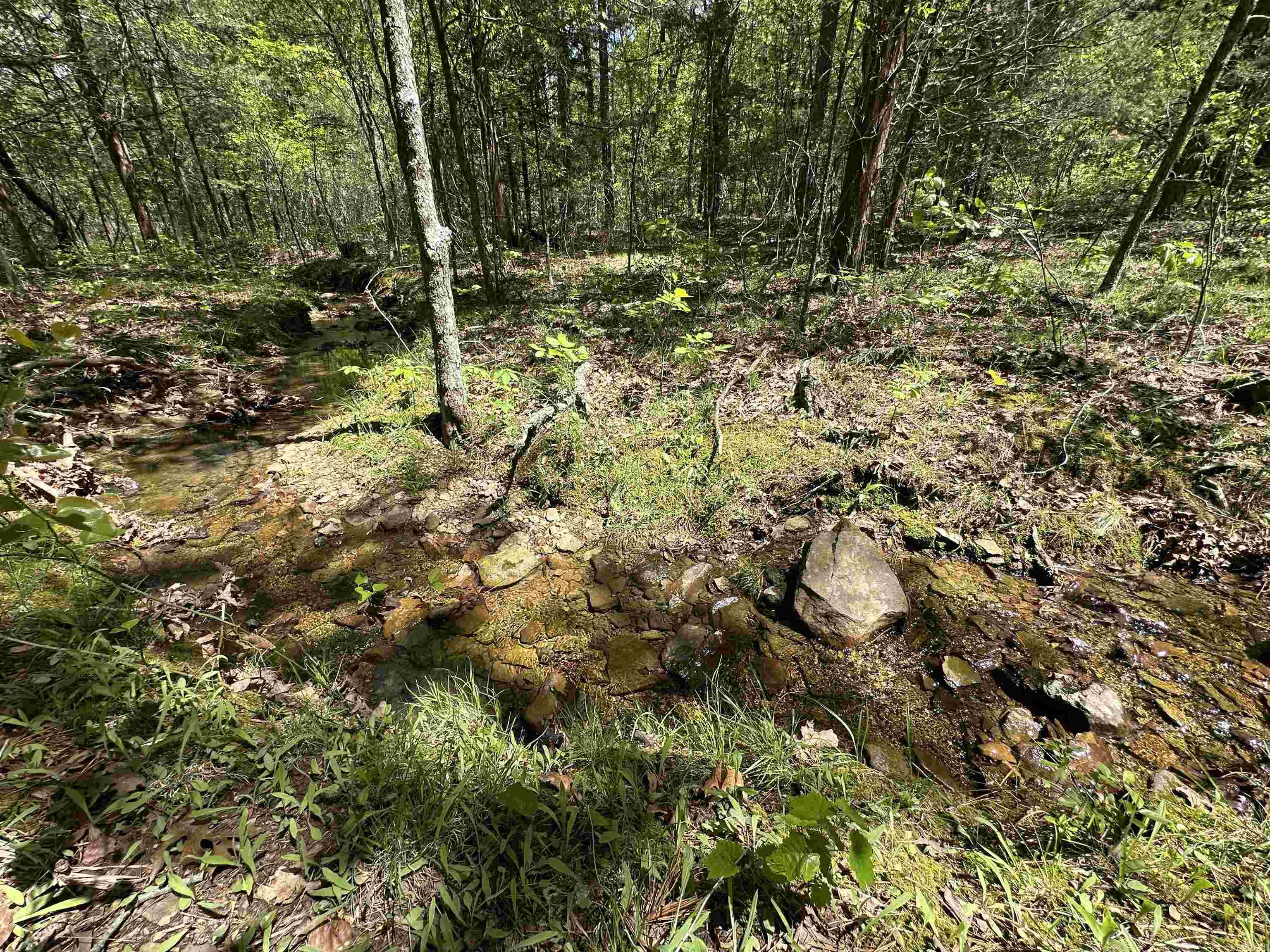 1494 N Miller Point  Quitman, AR