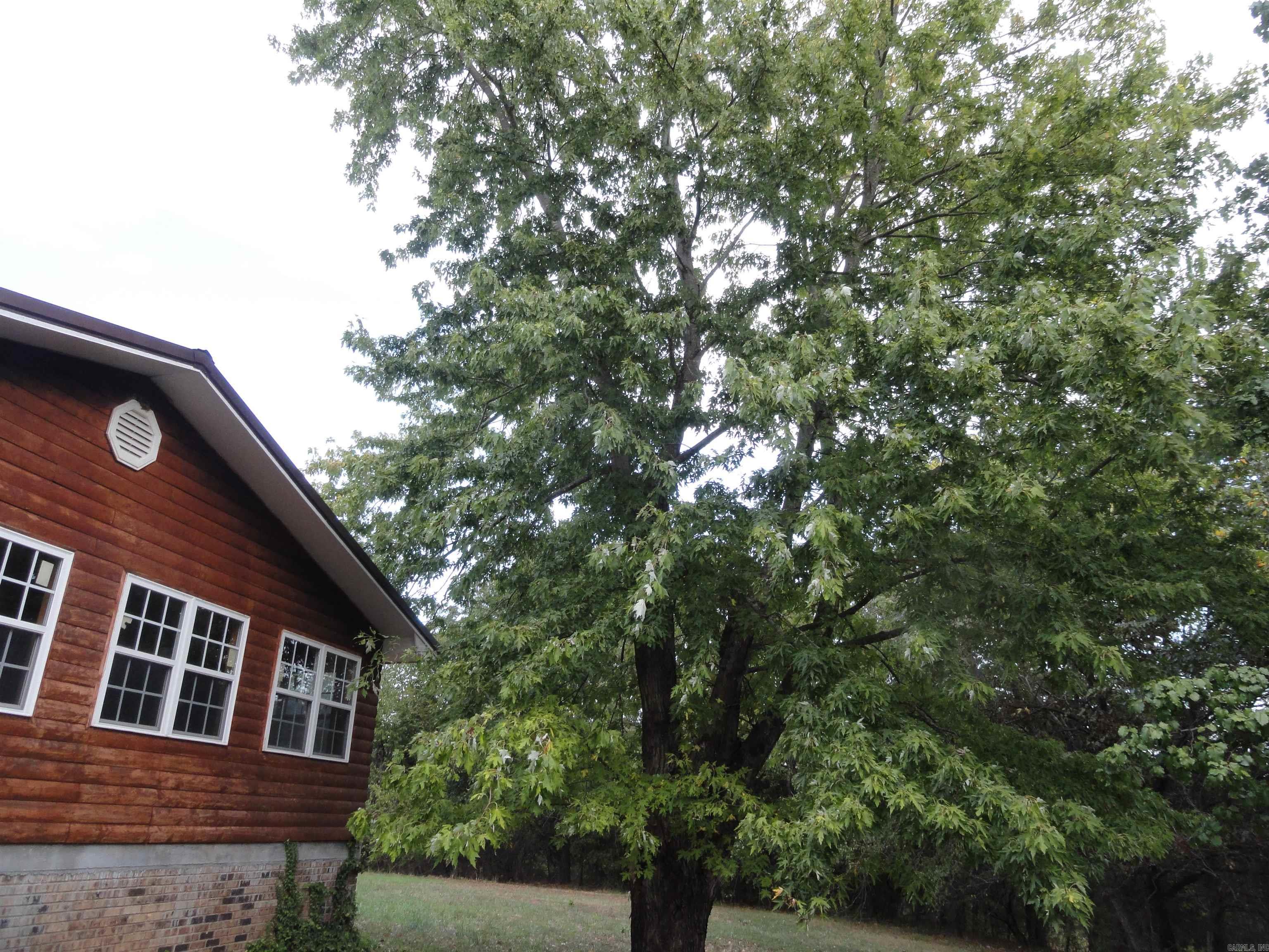 233 Piney Road Marshall, AR 72650