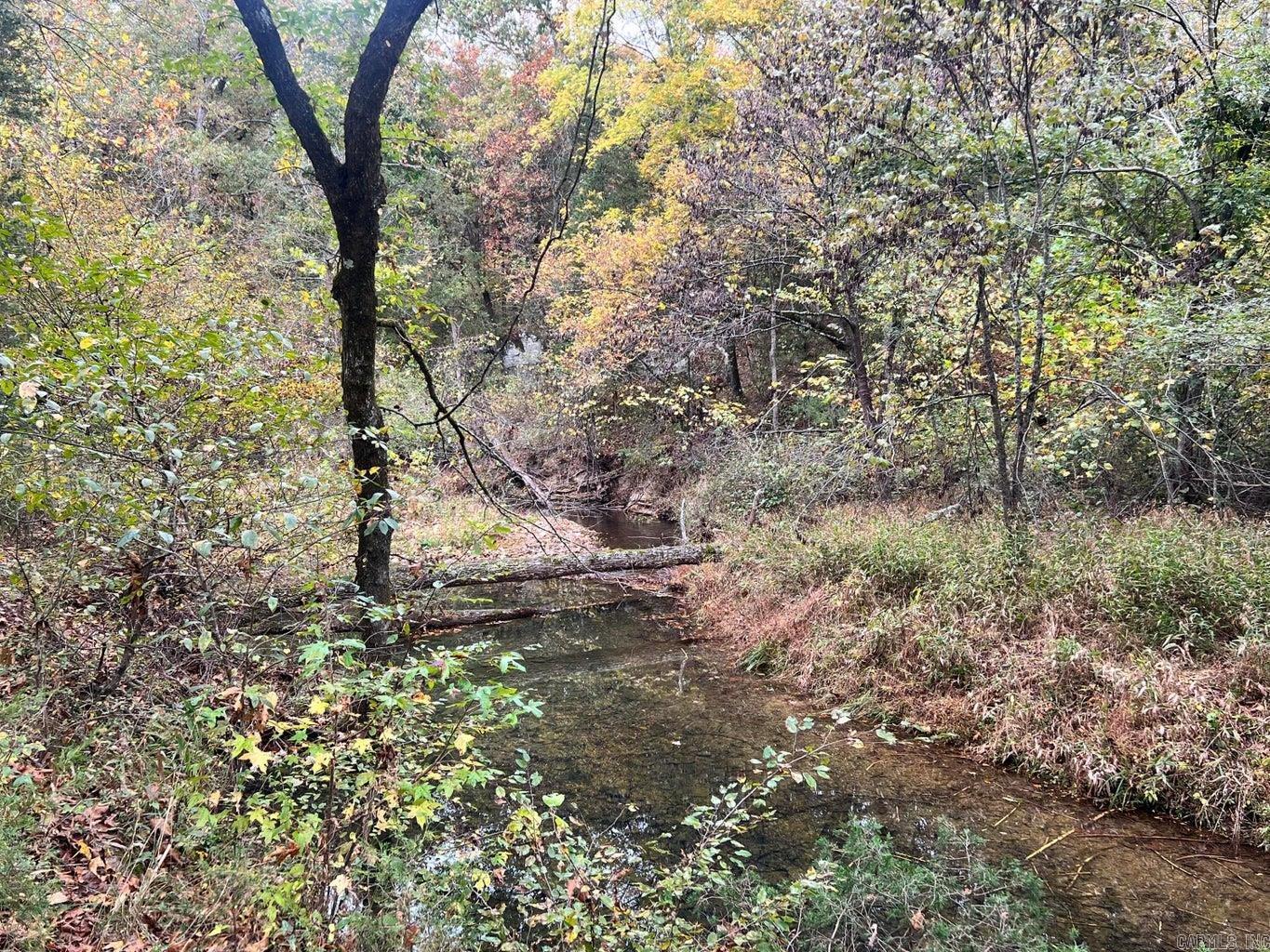 1215 Arrowhead  Cave City, AR