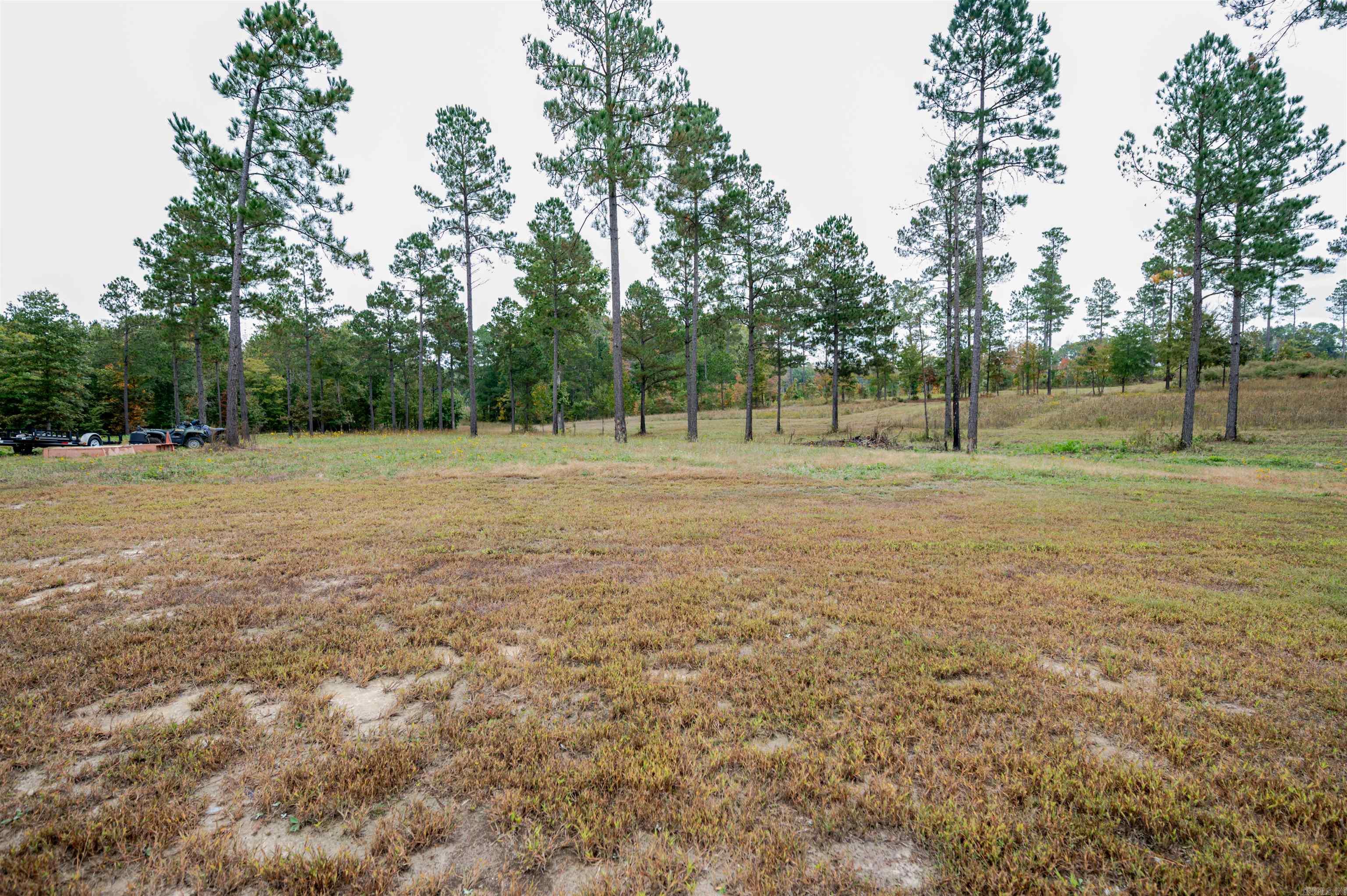 11647 MARS HILL  Bauxite, AR