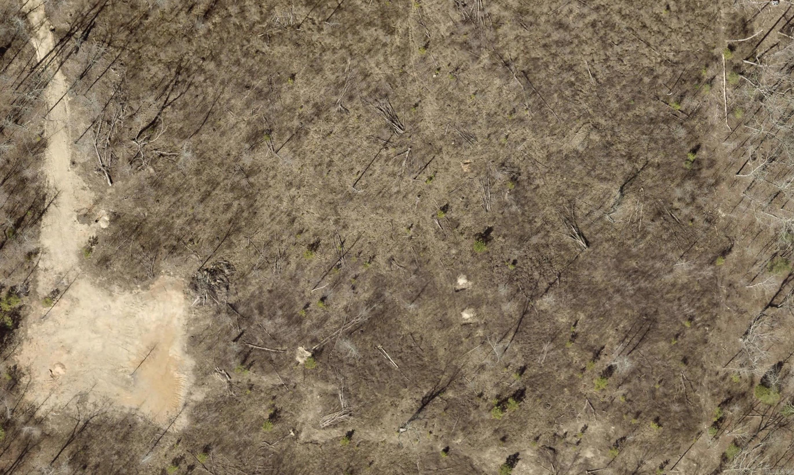 Tract 8B Rigsby  Lonsdale, AR